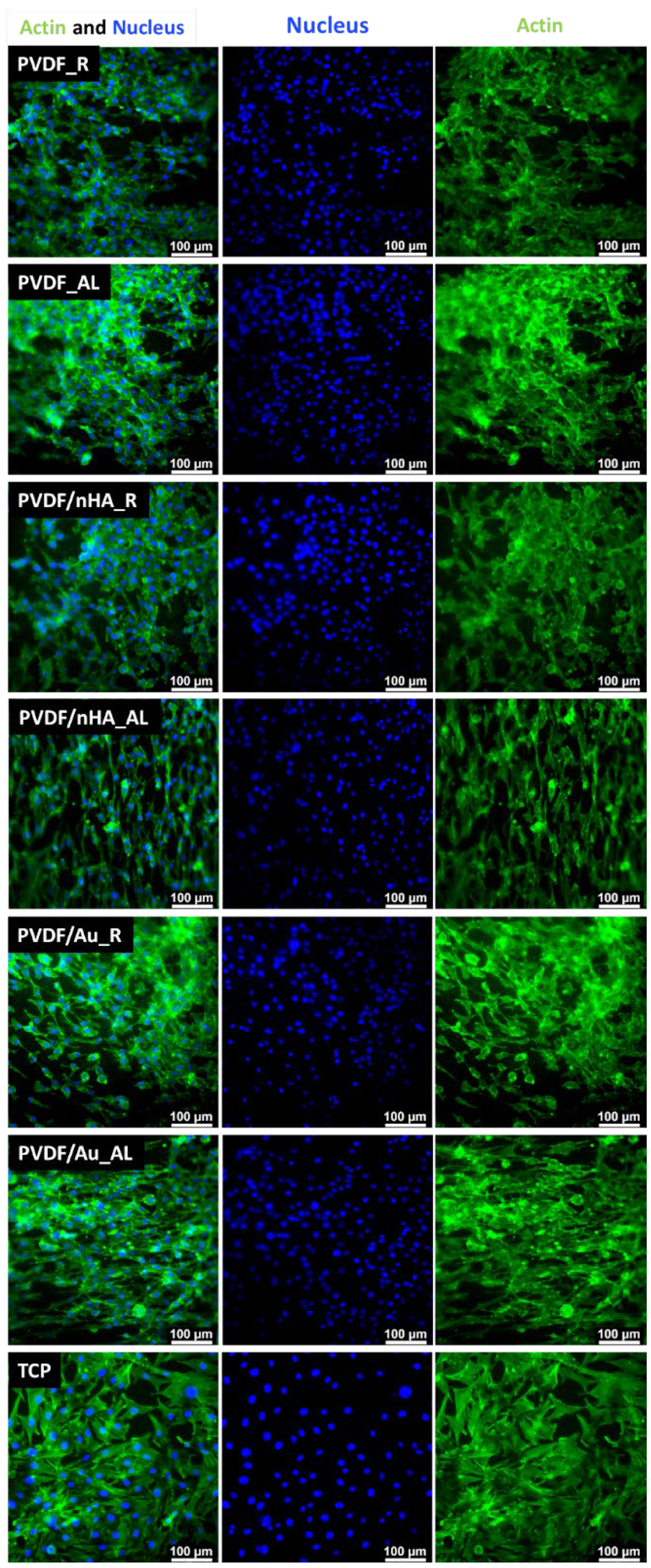 Molecules 30 01041 g018