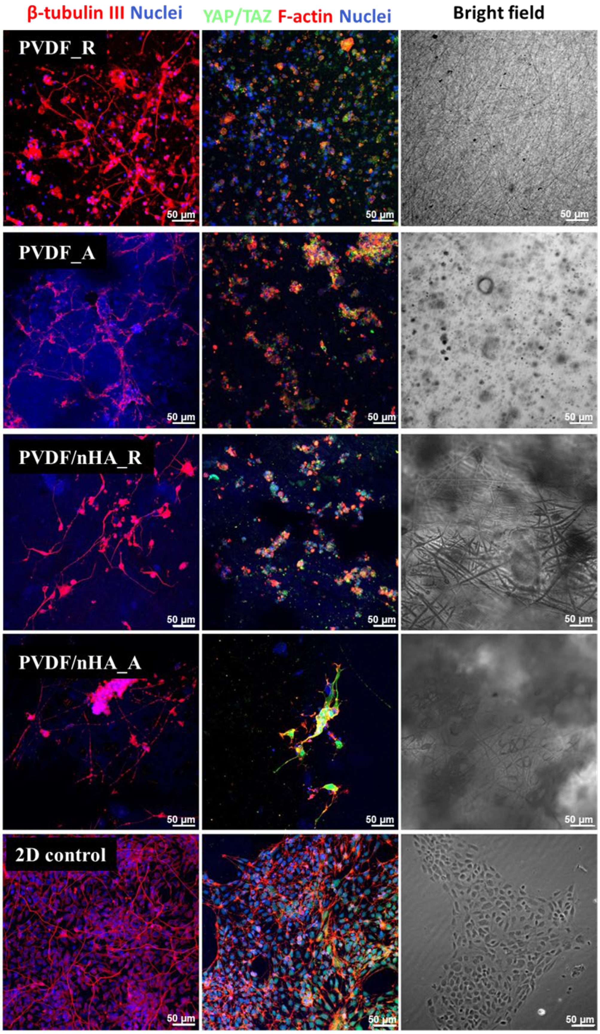 Molecules 30 01041 g019