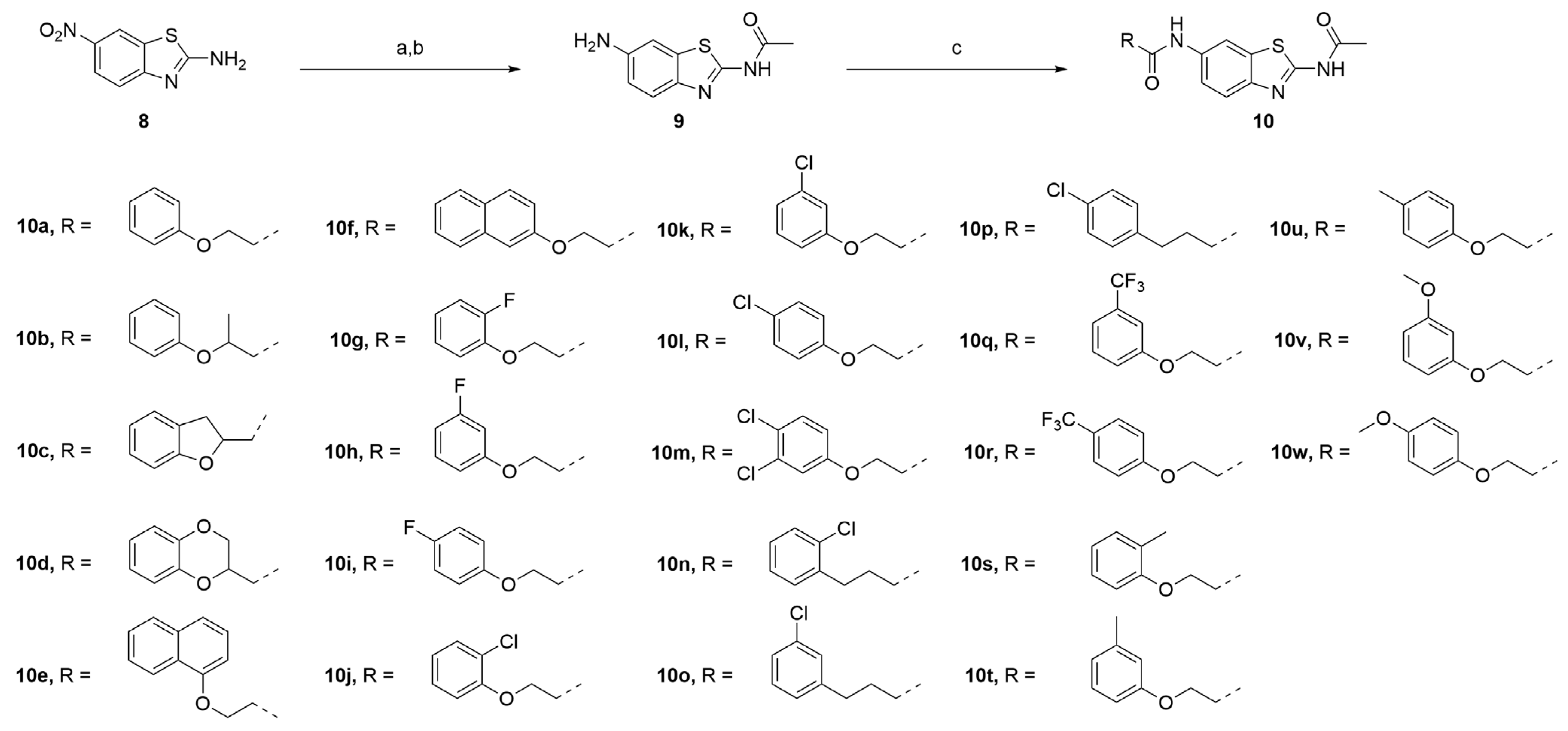 Molecules 30 01065 sch001 Molecules 30 01065 sch001