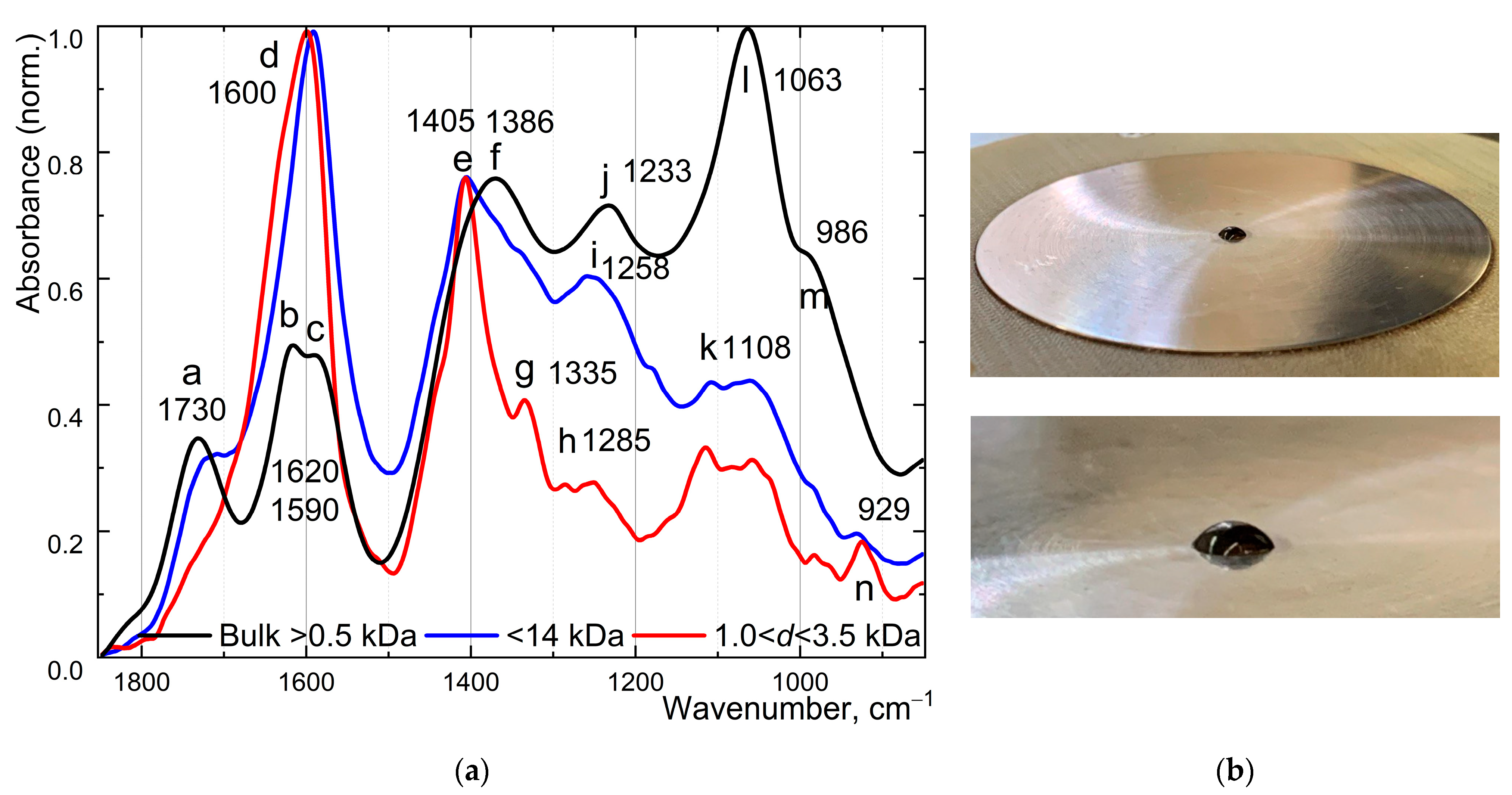 Molecules 30 01069 g005