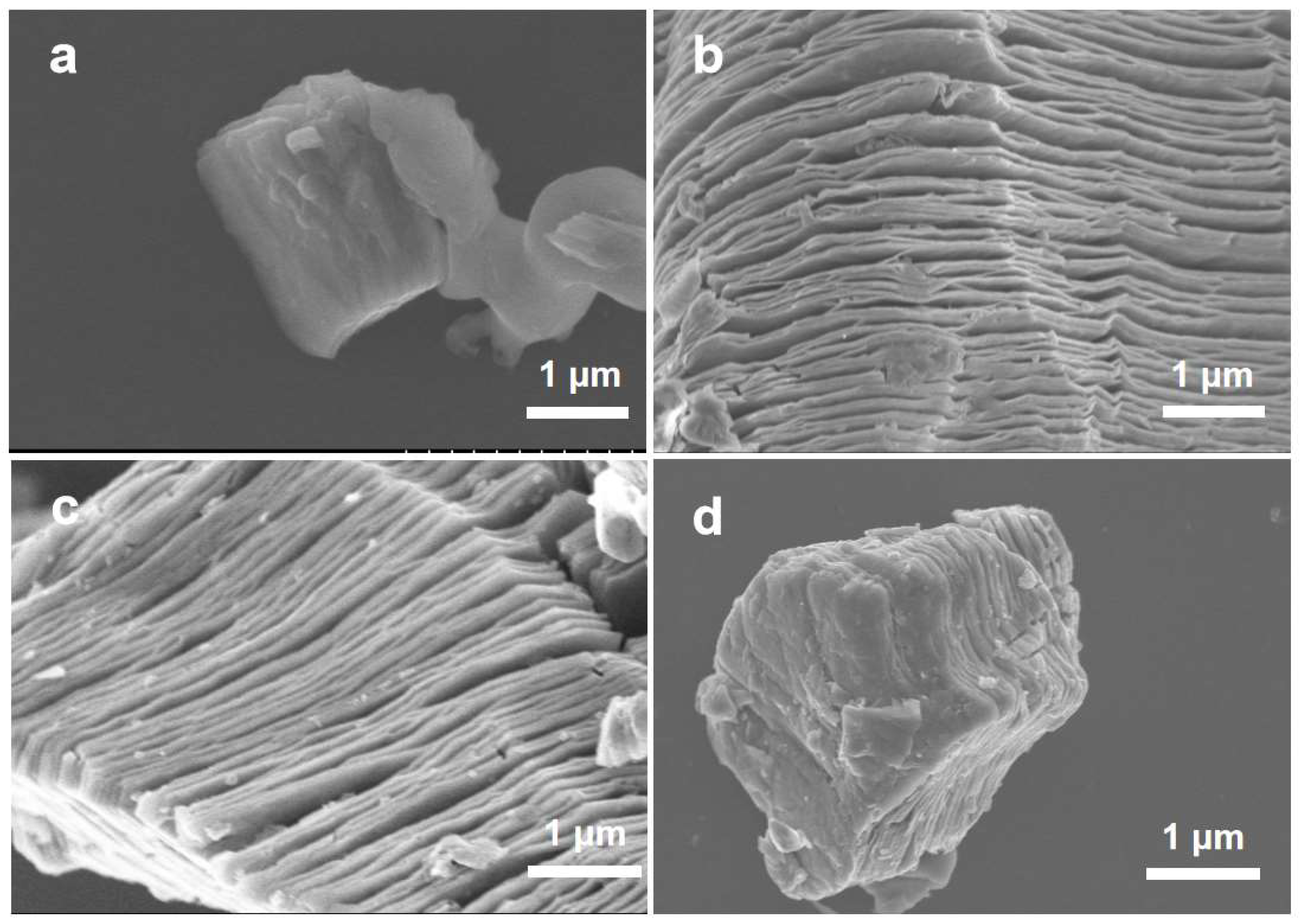 Molecules 30 01070 g002