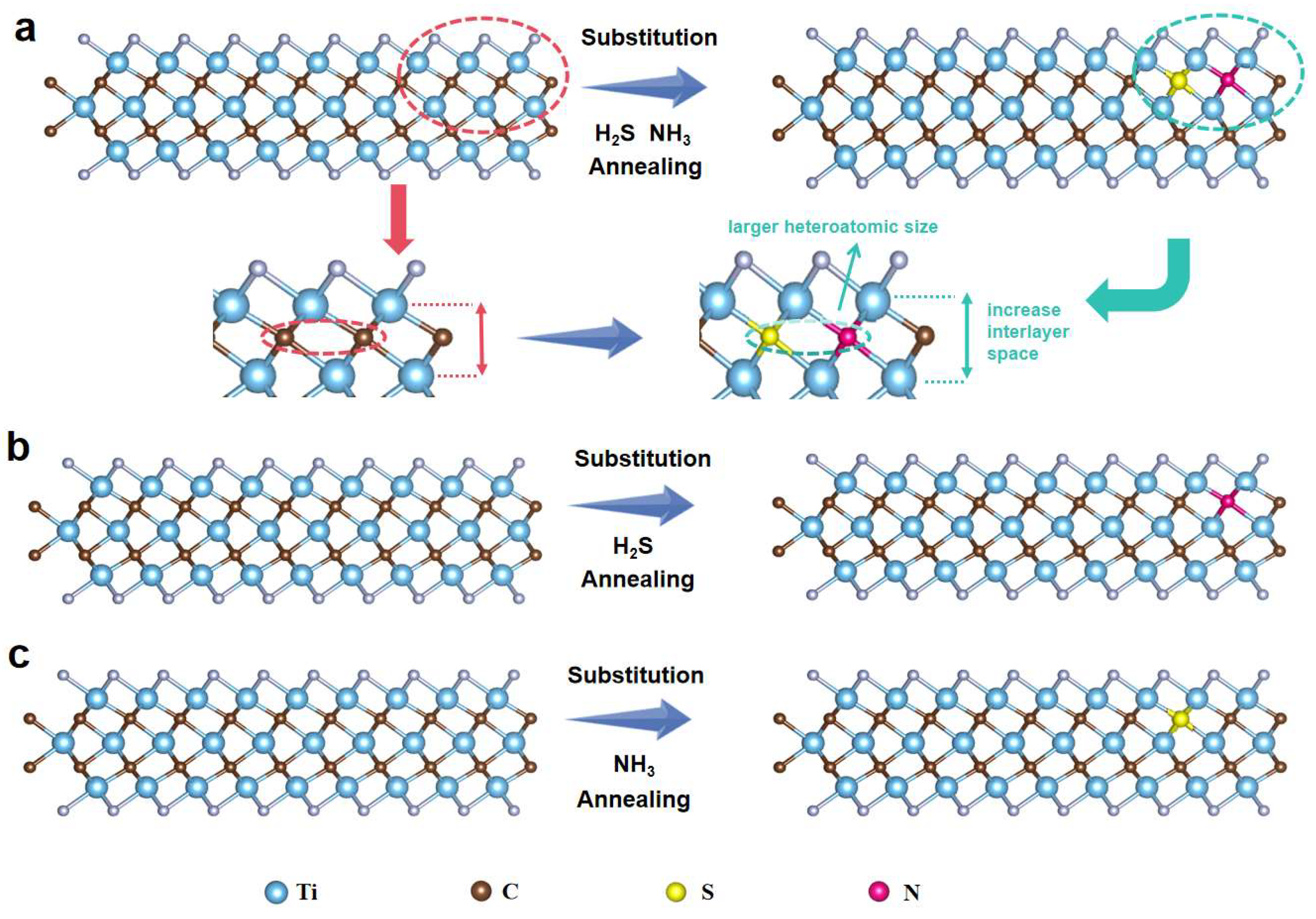 Molecules 30 01070 g006