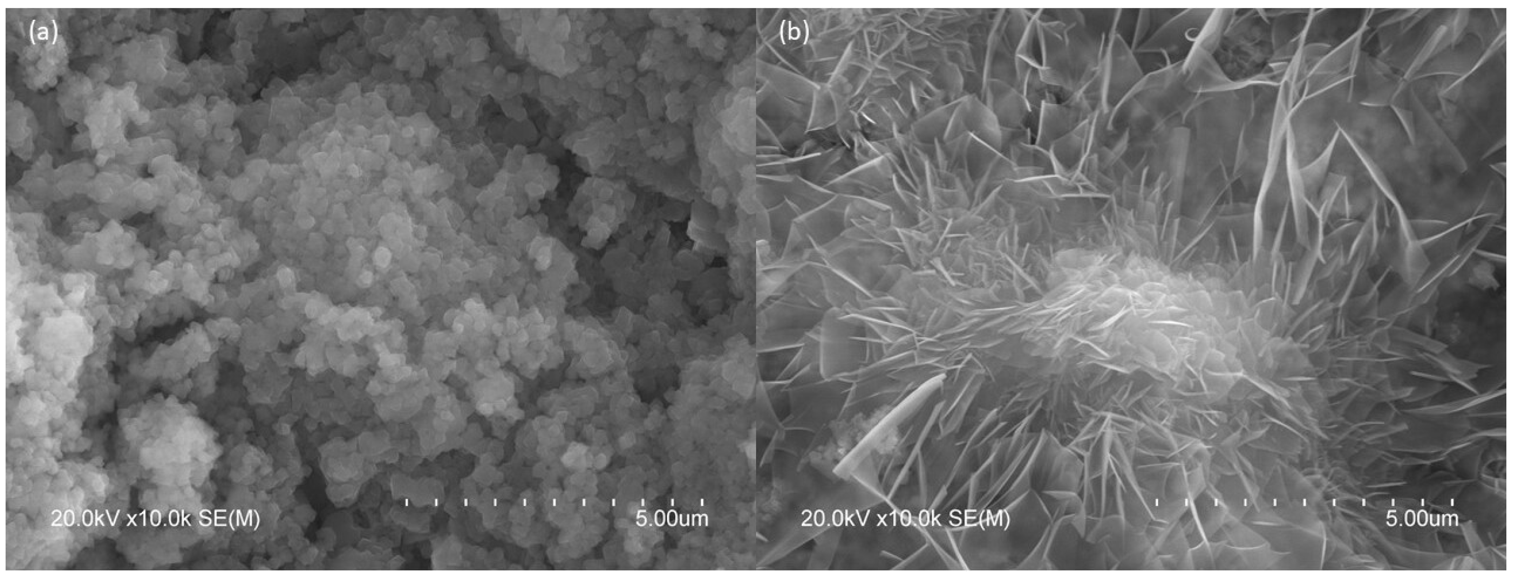 Molecules 30 01072 g010