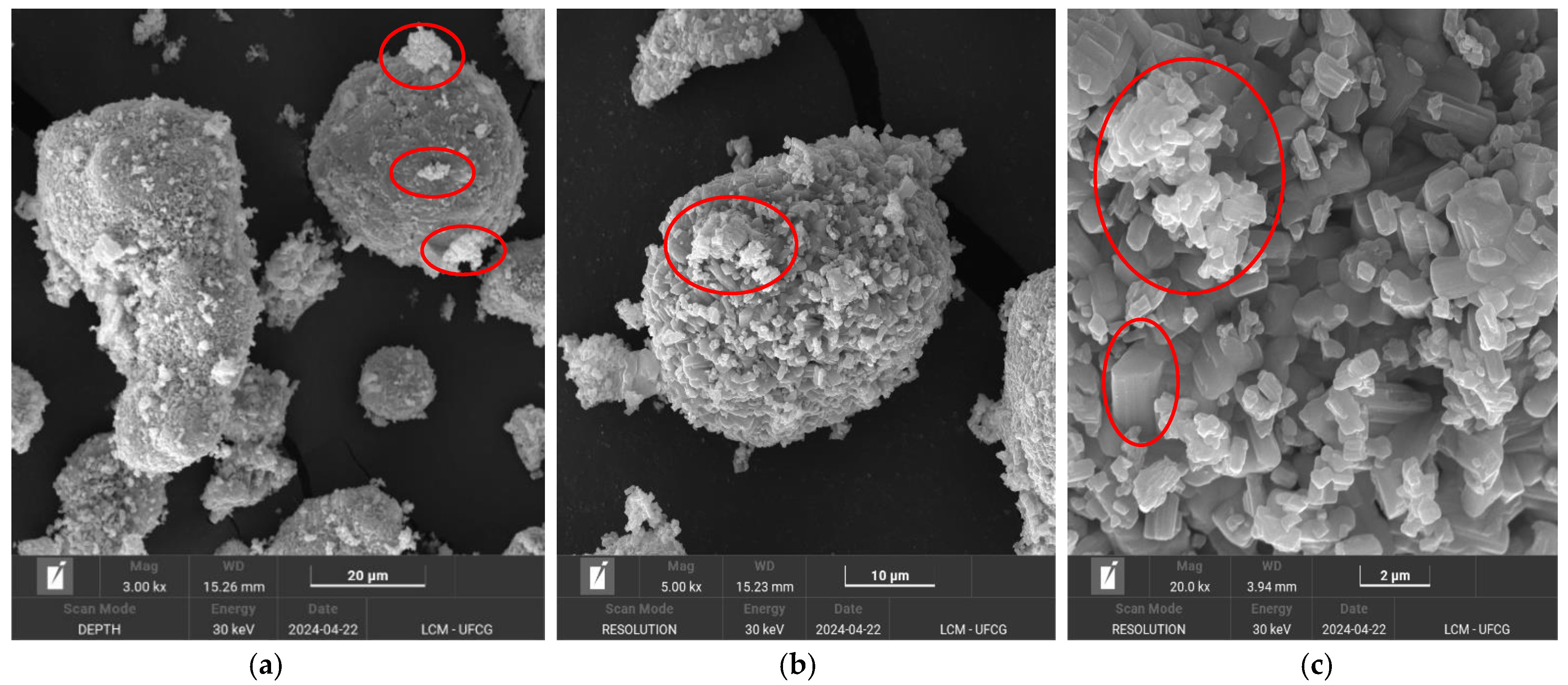 Molecules 30 01075 g006