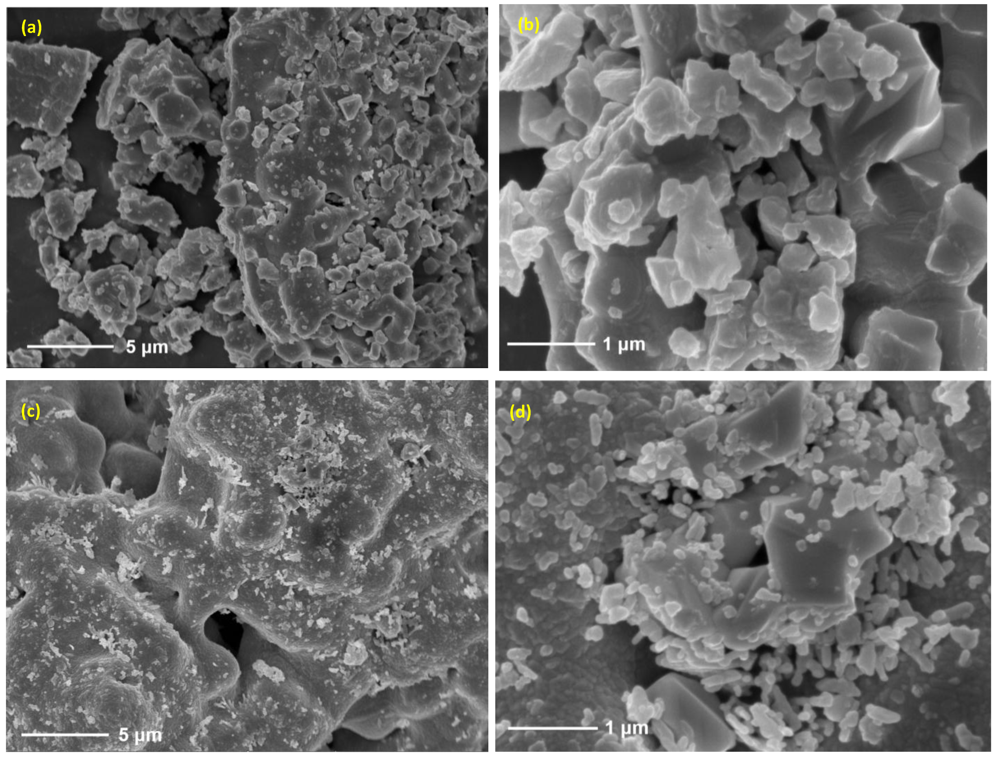 Molecules 30 01076 g008