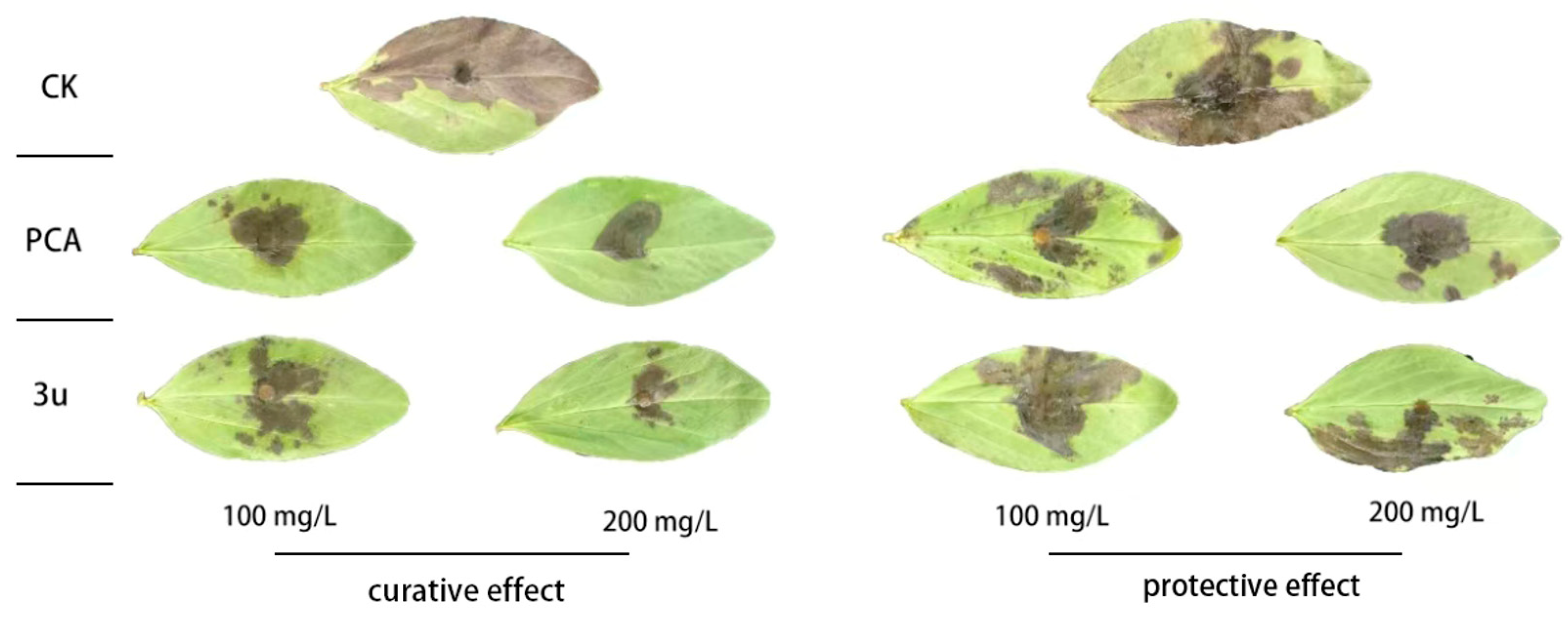 Molecules 30 01079 g002 Molecules 30 01079 g002