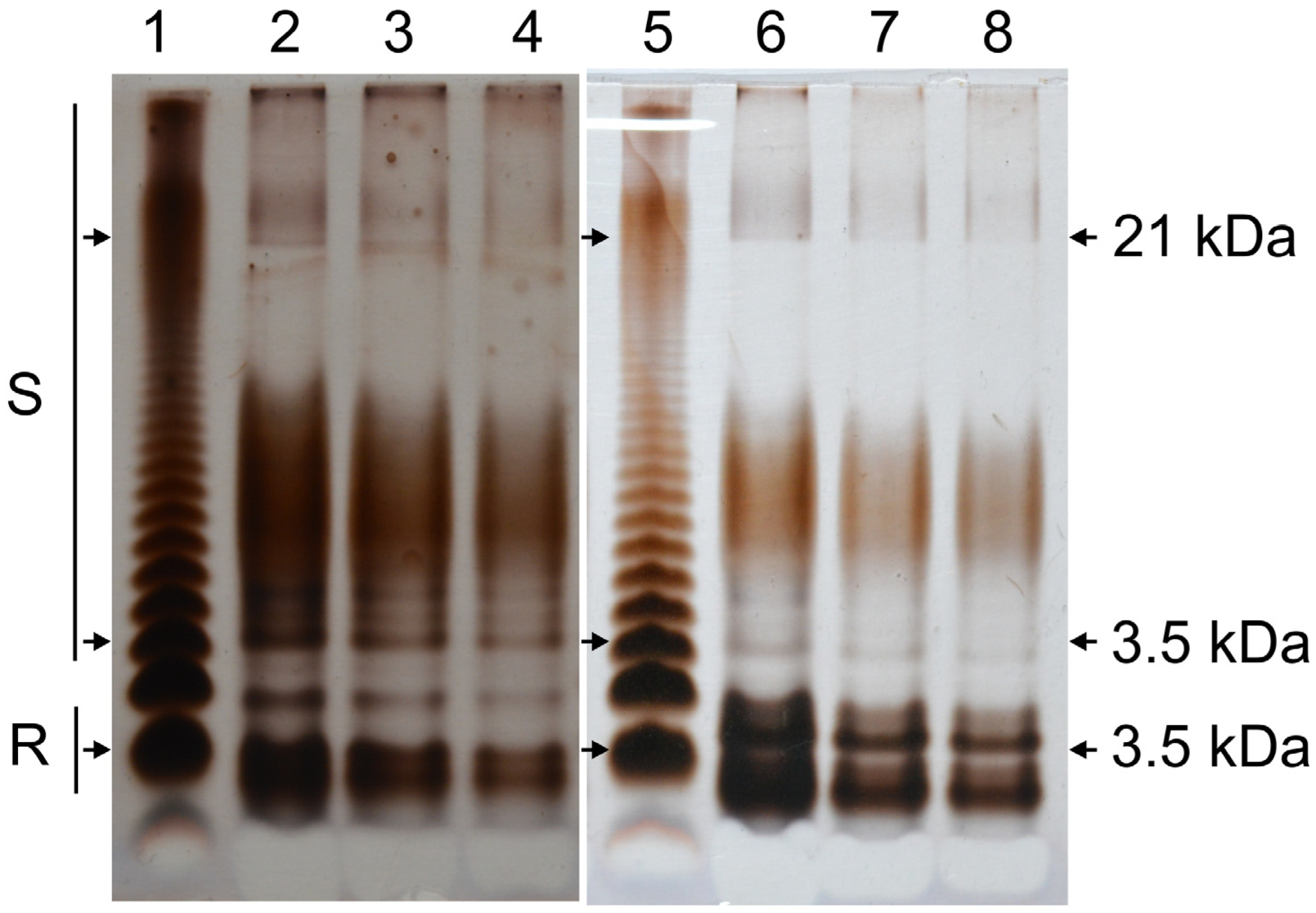 Molecules 30 01080 g003