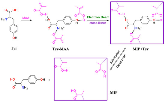 y.y様 Integrating Porphyrinic Metal-Organic Frameworks in