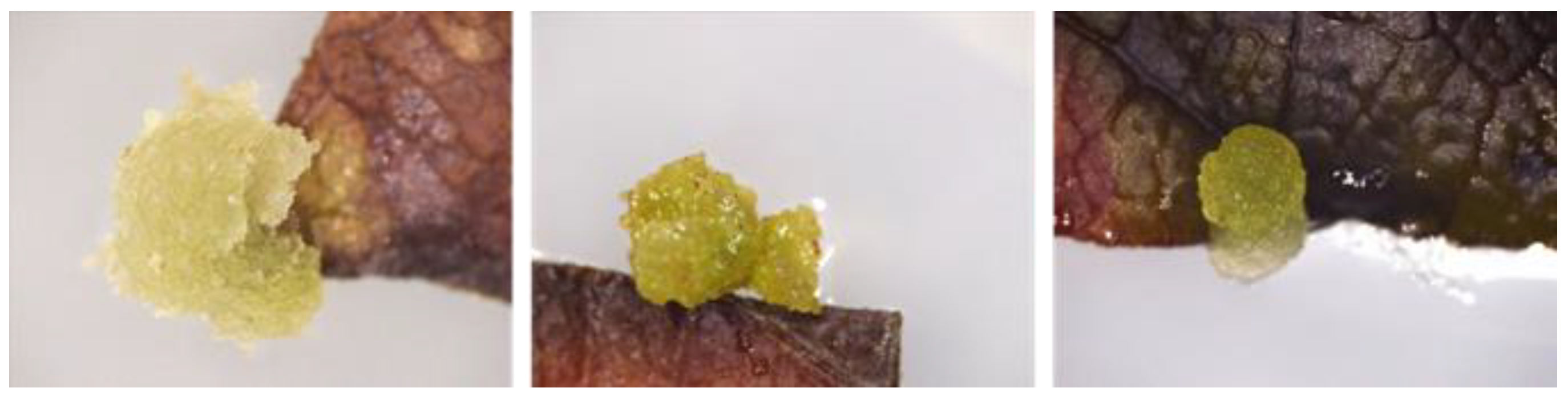 Molecules 30 01089 g001