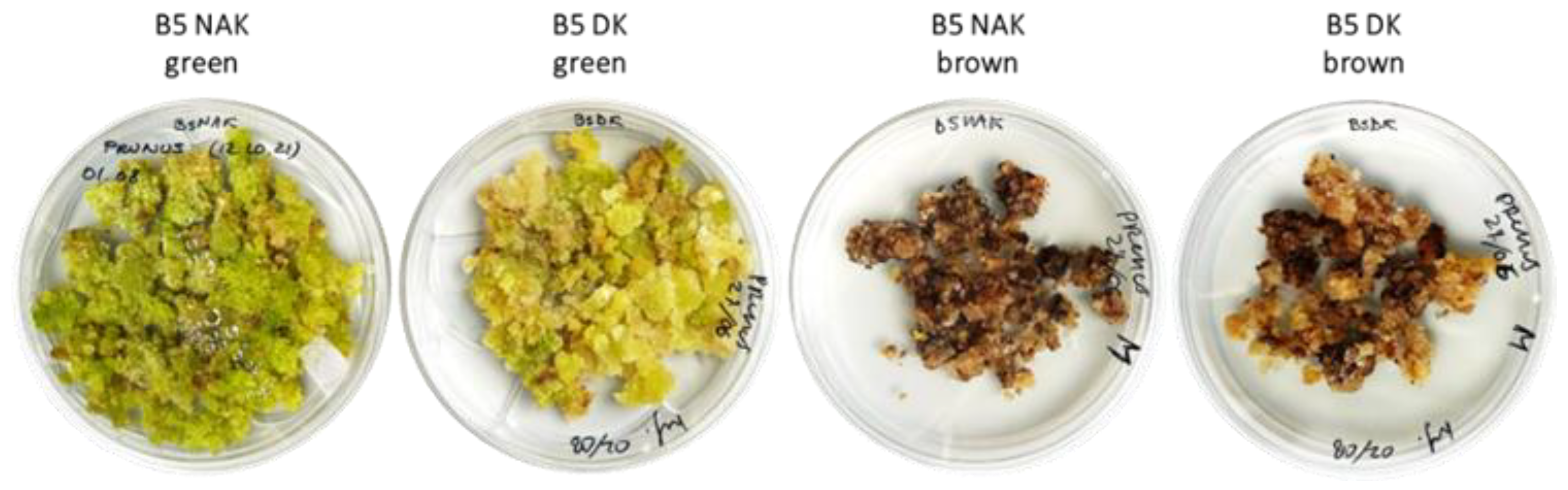 Molecules 30 01089 g002