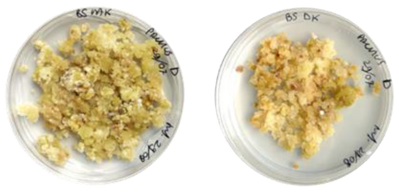 Molecules 30 01089 g006