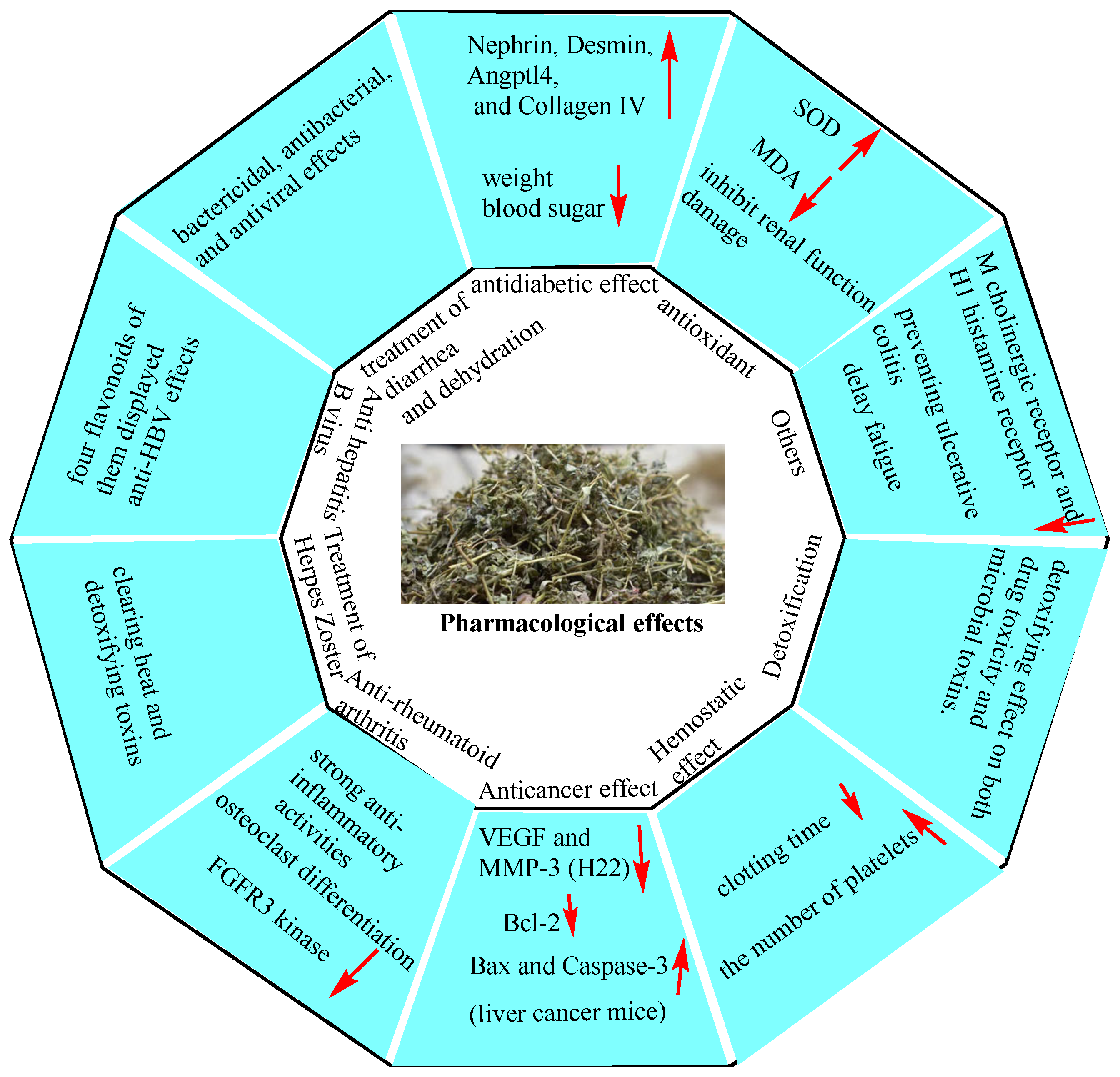 Molecules 30 01094 g011