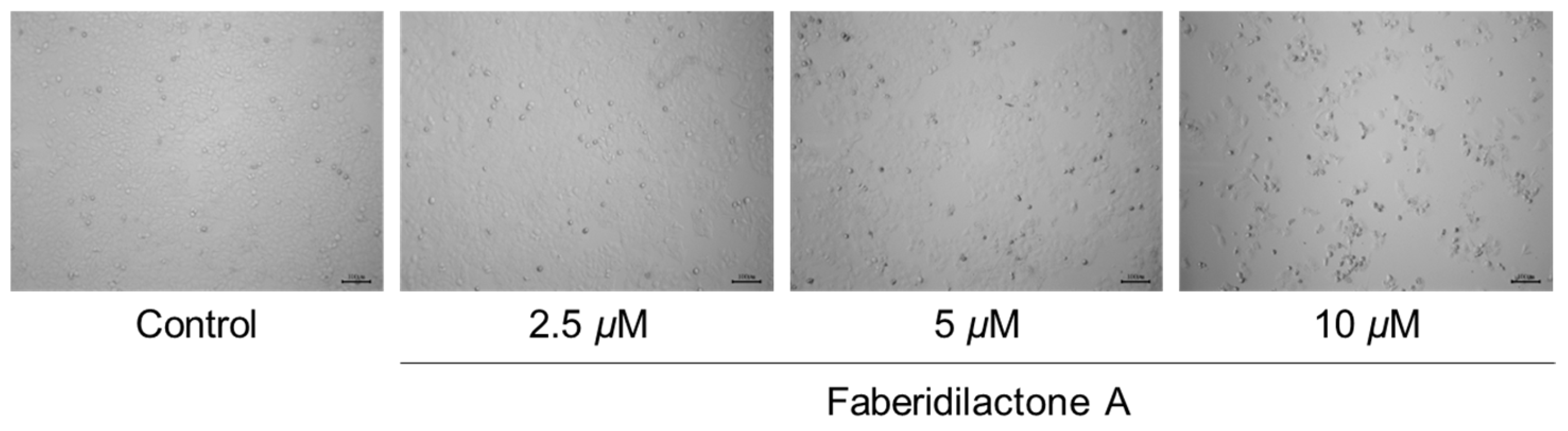 Molecules 30 01095 g002