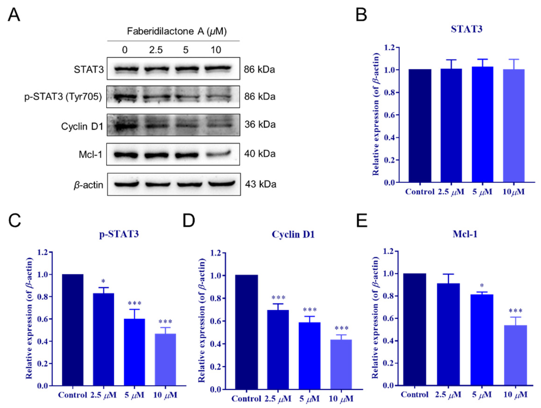 Molecules 30 01095 g010