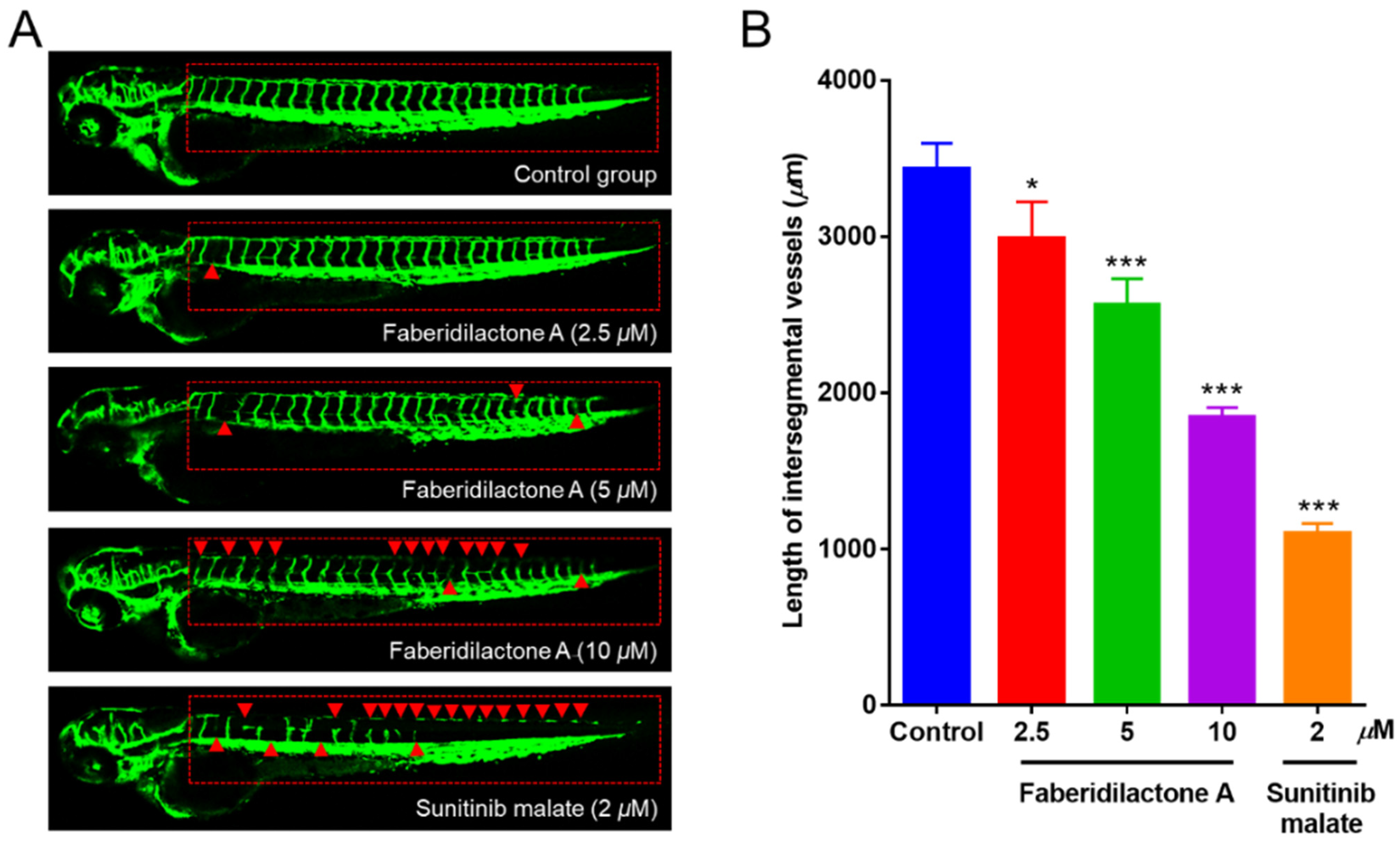 Molecules 30 01095 g013