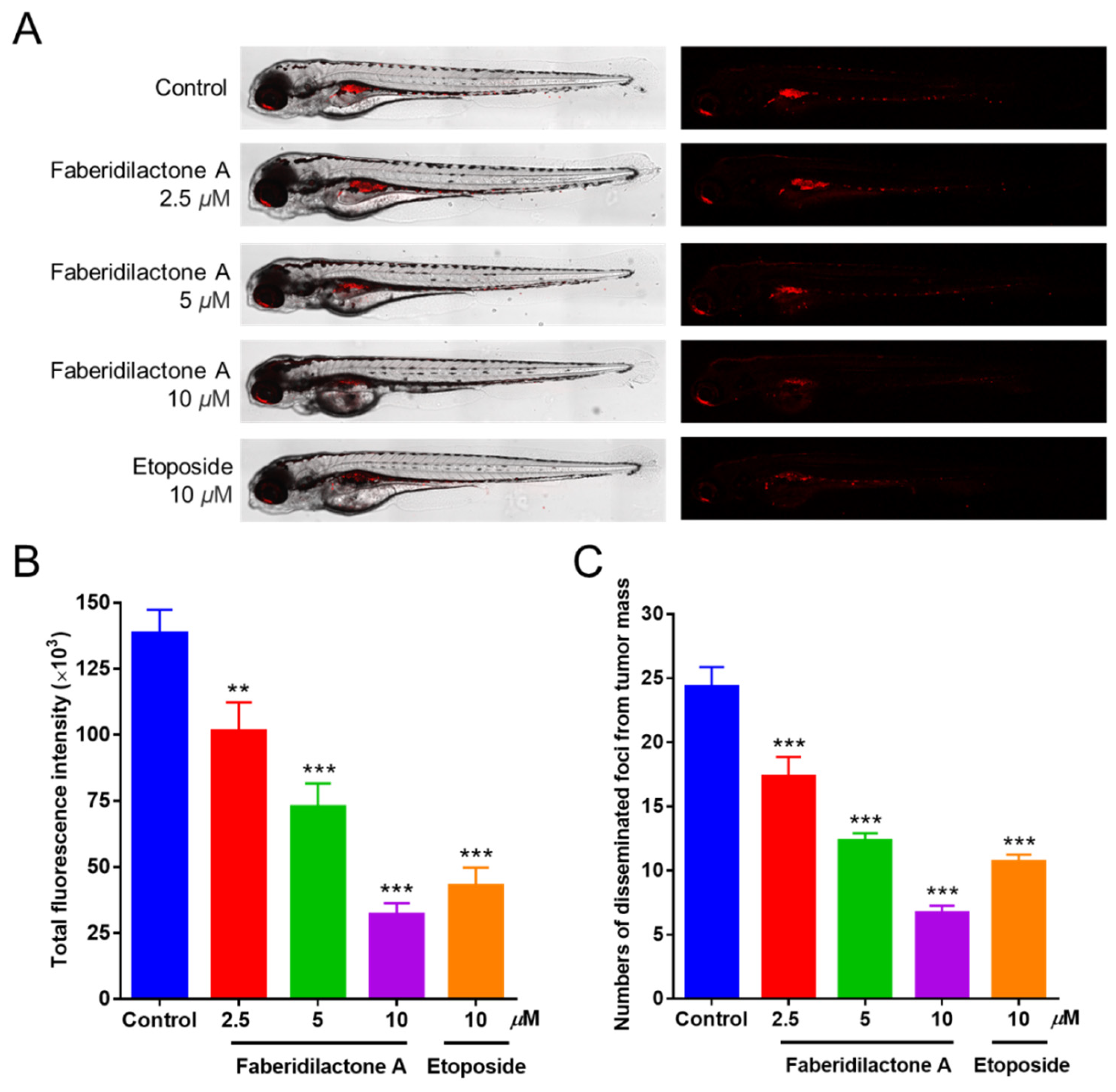 Molecules 30 01095 g014