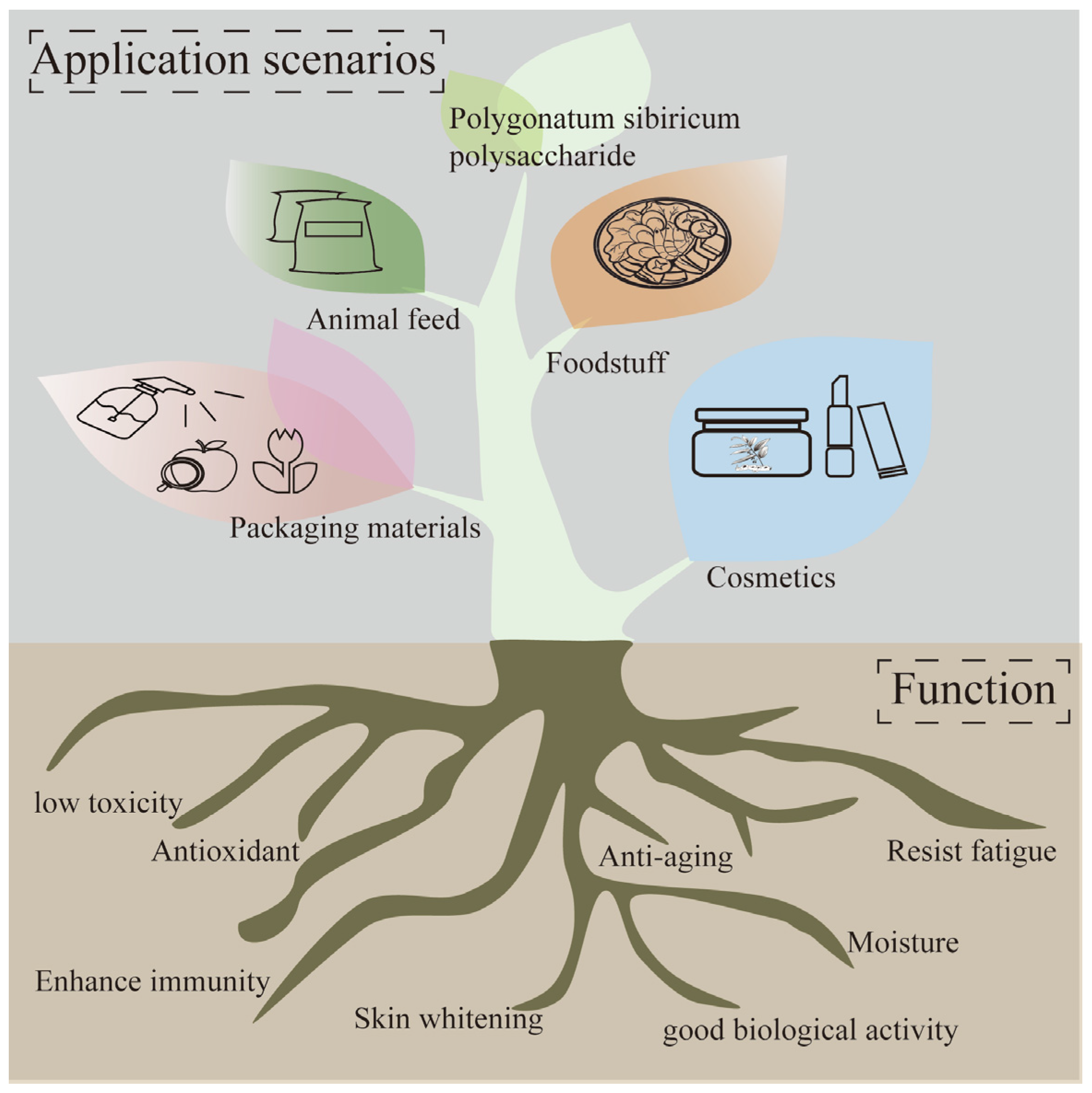 Molecules 30 01098 g005