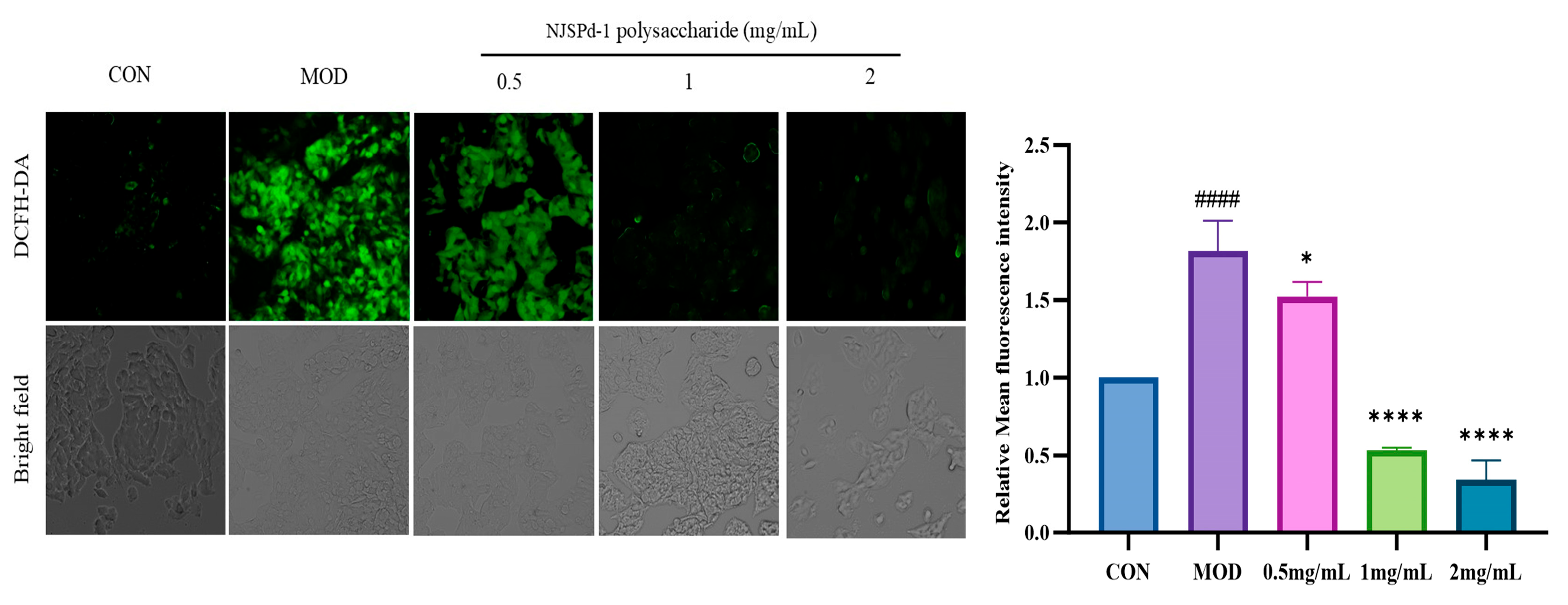 Molecules 30 01103 g006