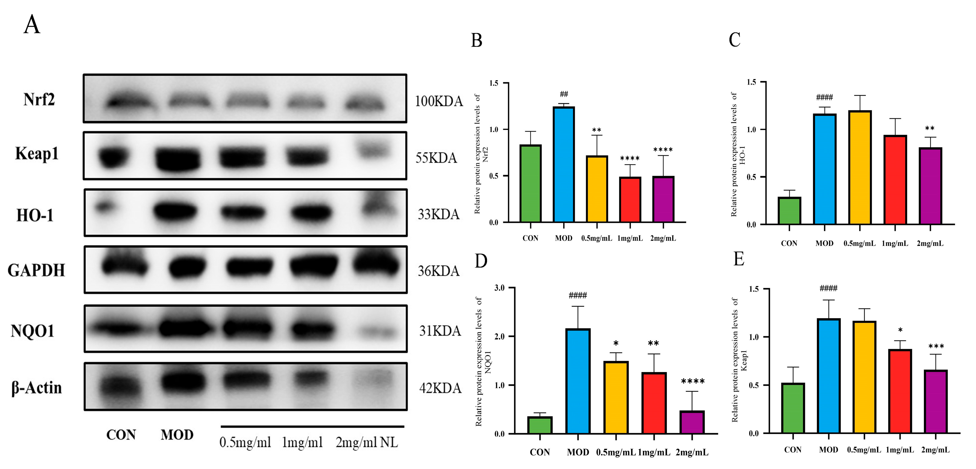 Molecules 30 01103 g007