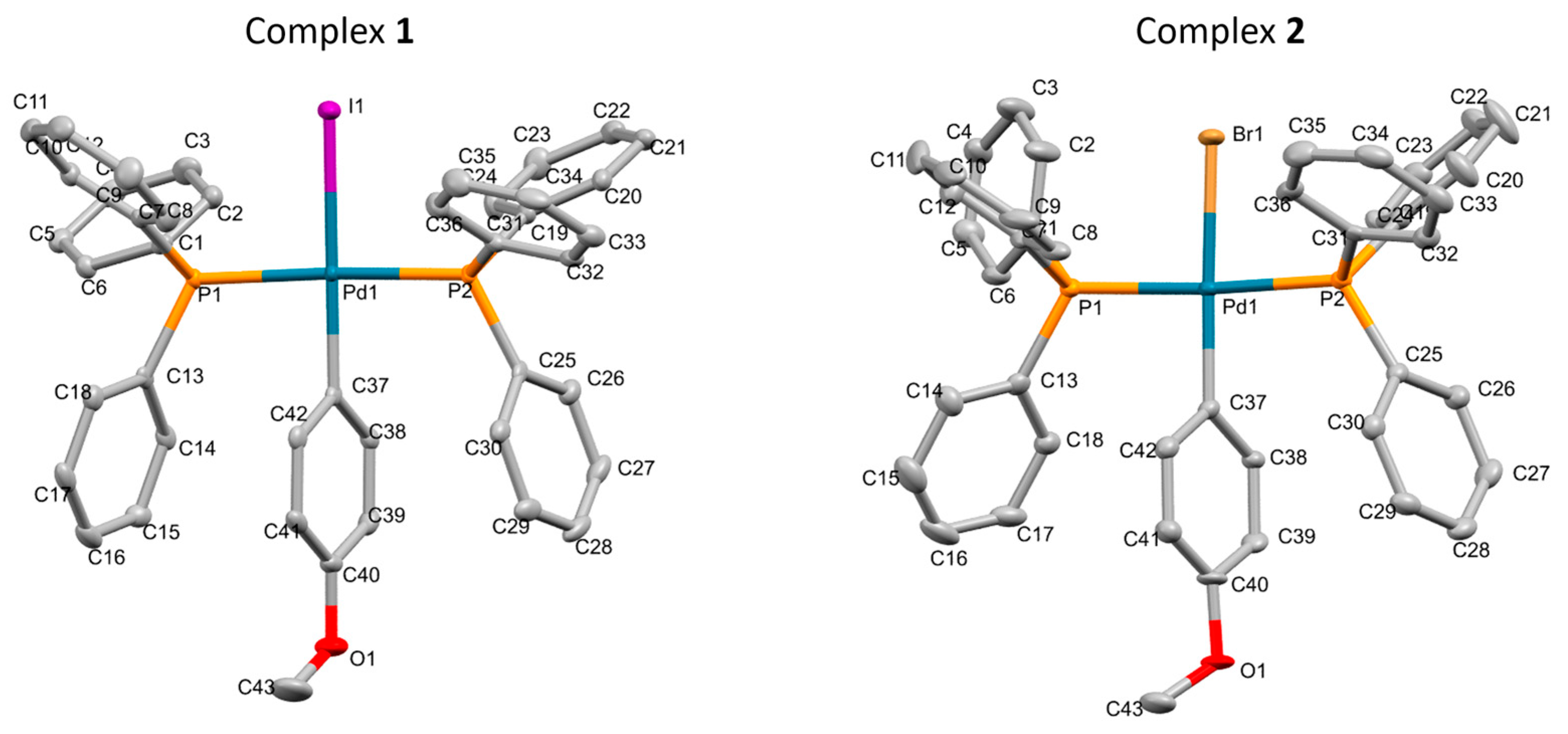 Molecules 30 01122 g001
