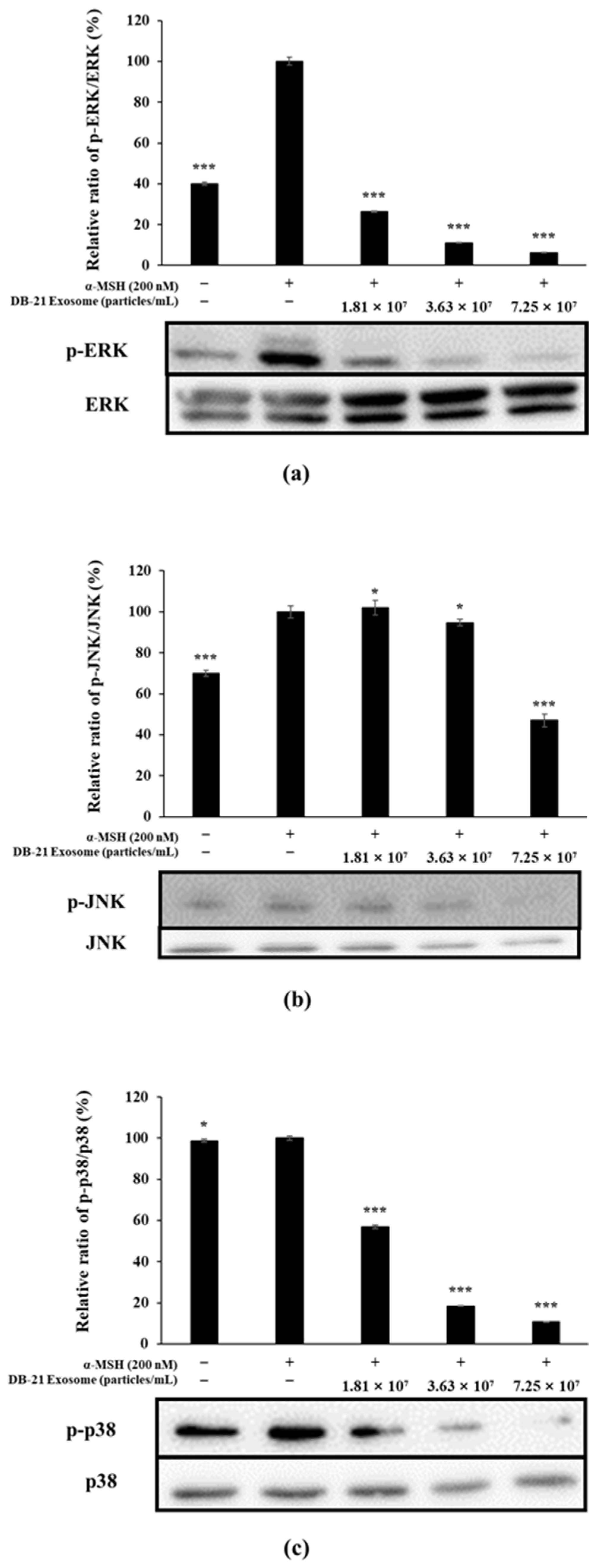 Molecules 30 01124 g010