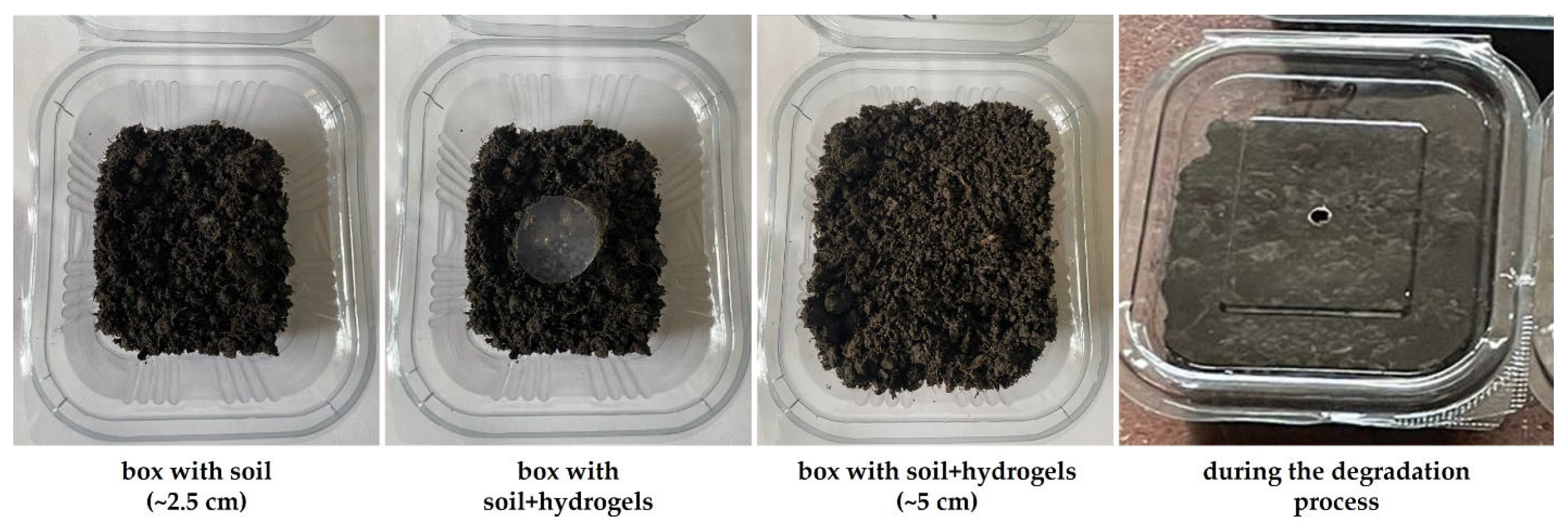 Molecules 30 01126 g002