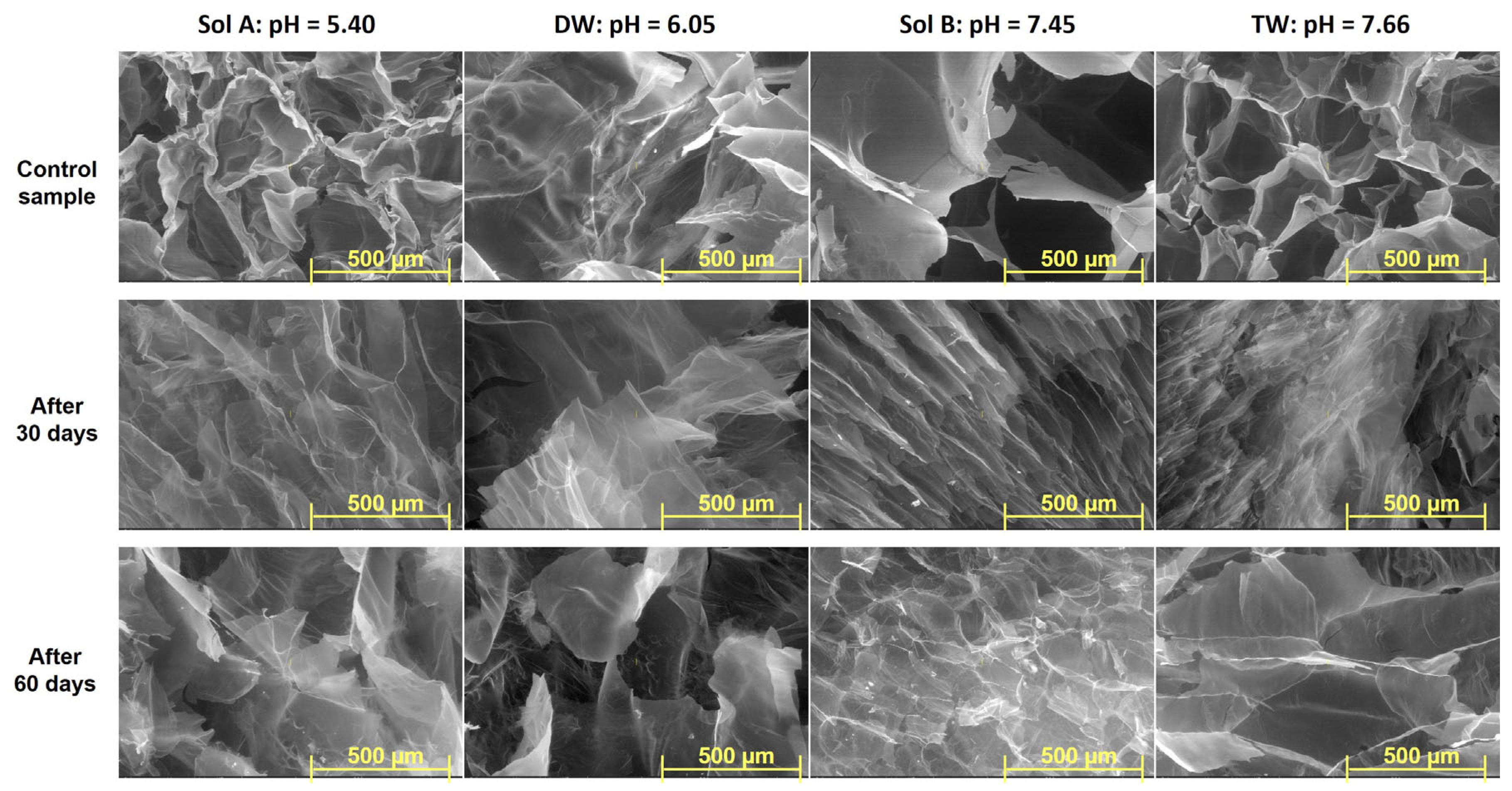 Molecules 30 01126 g006