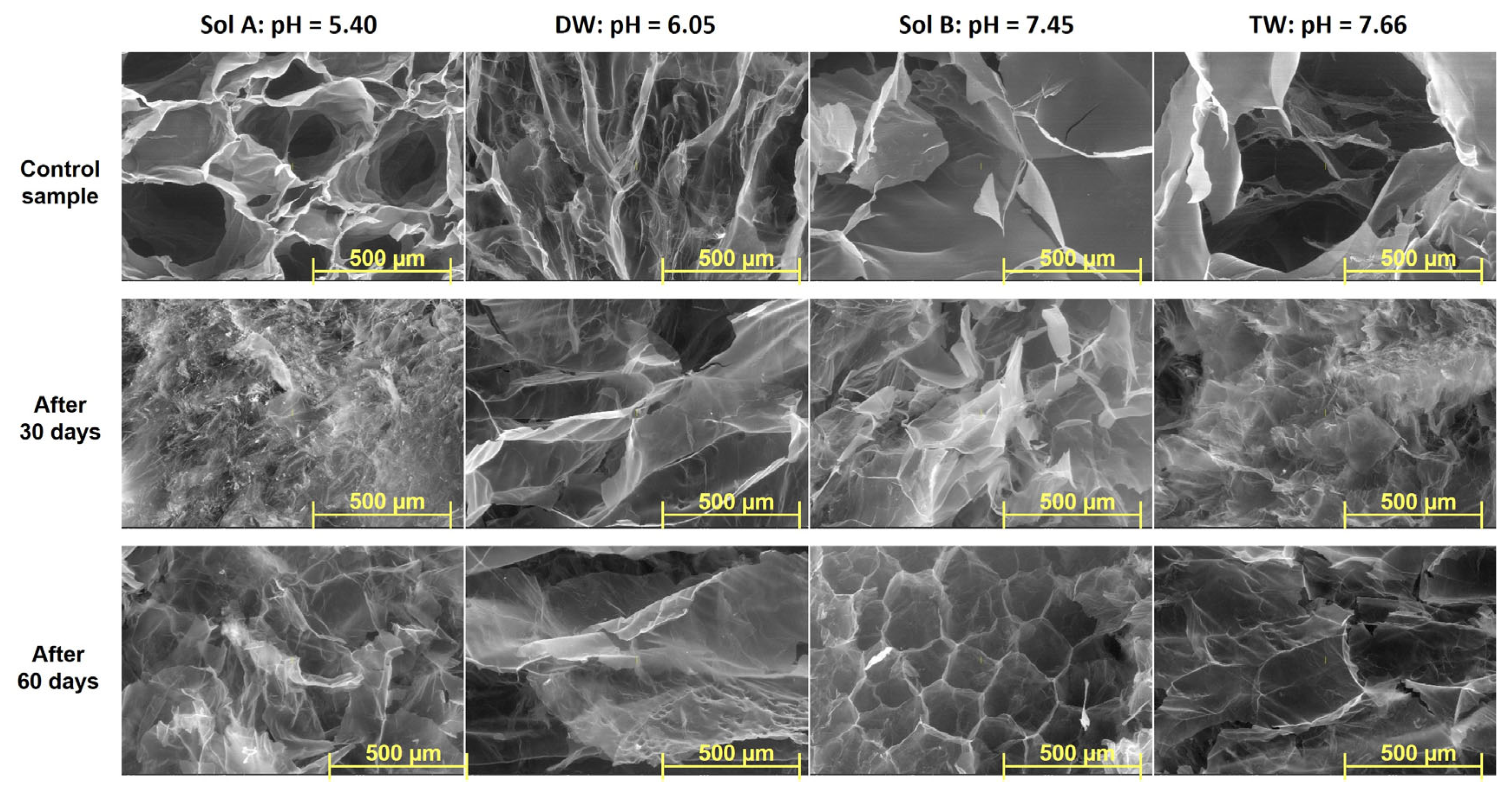 Molecules 30 01126 g007