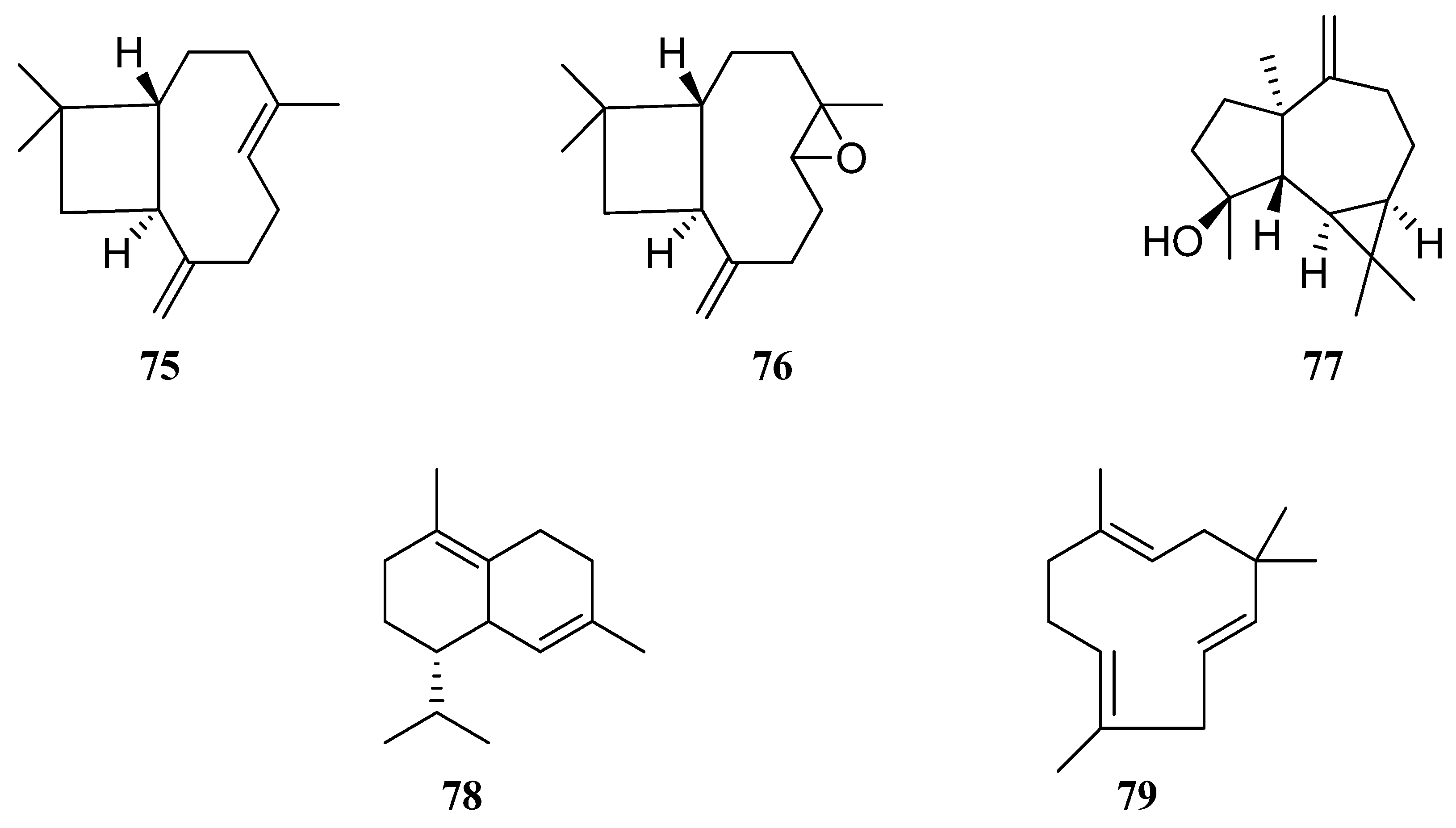 Molecules 30 01142 g007