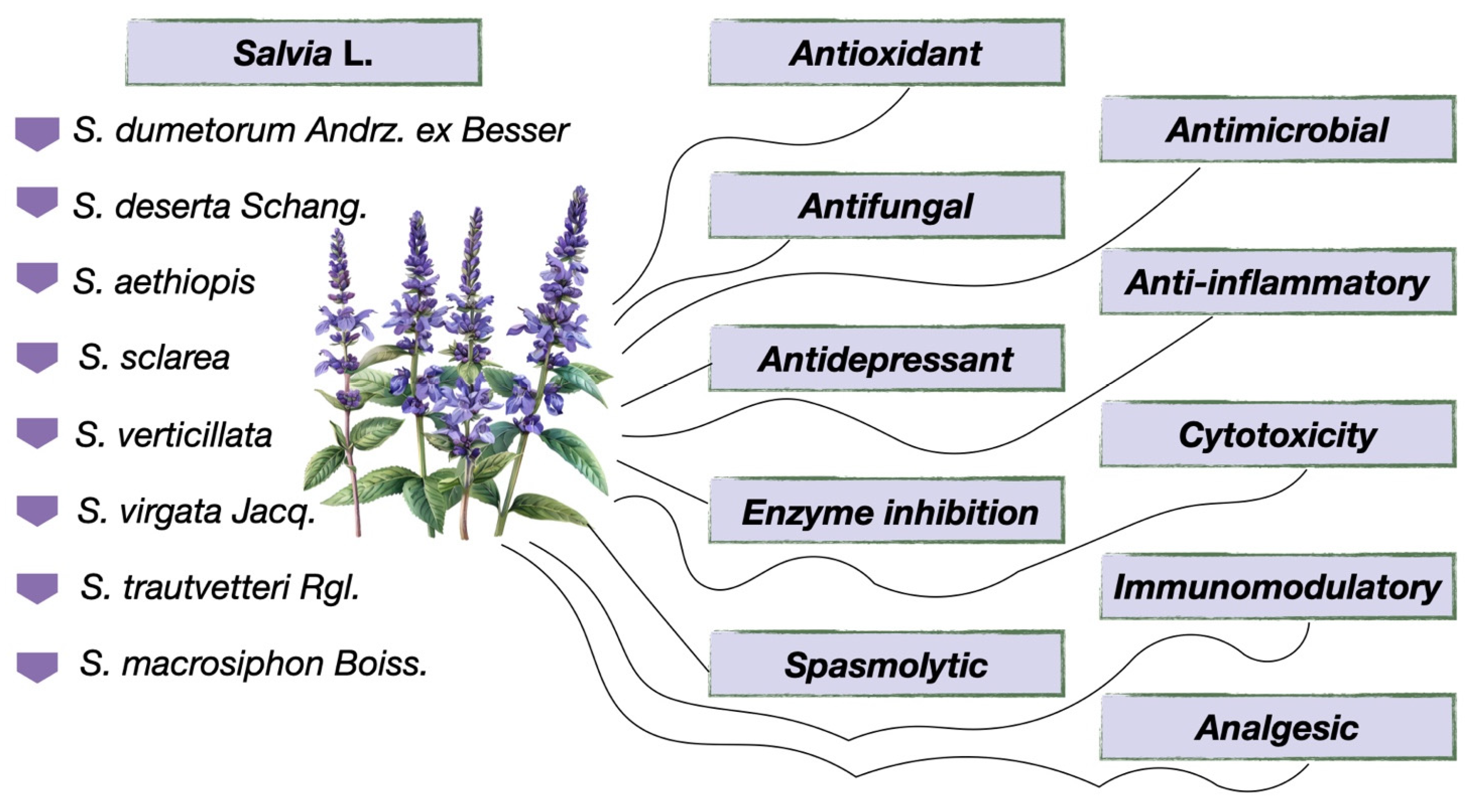 Molecules 30 01142 g015