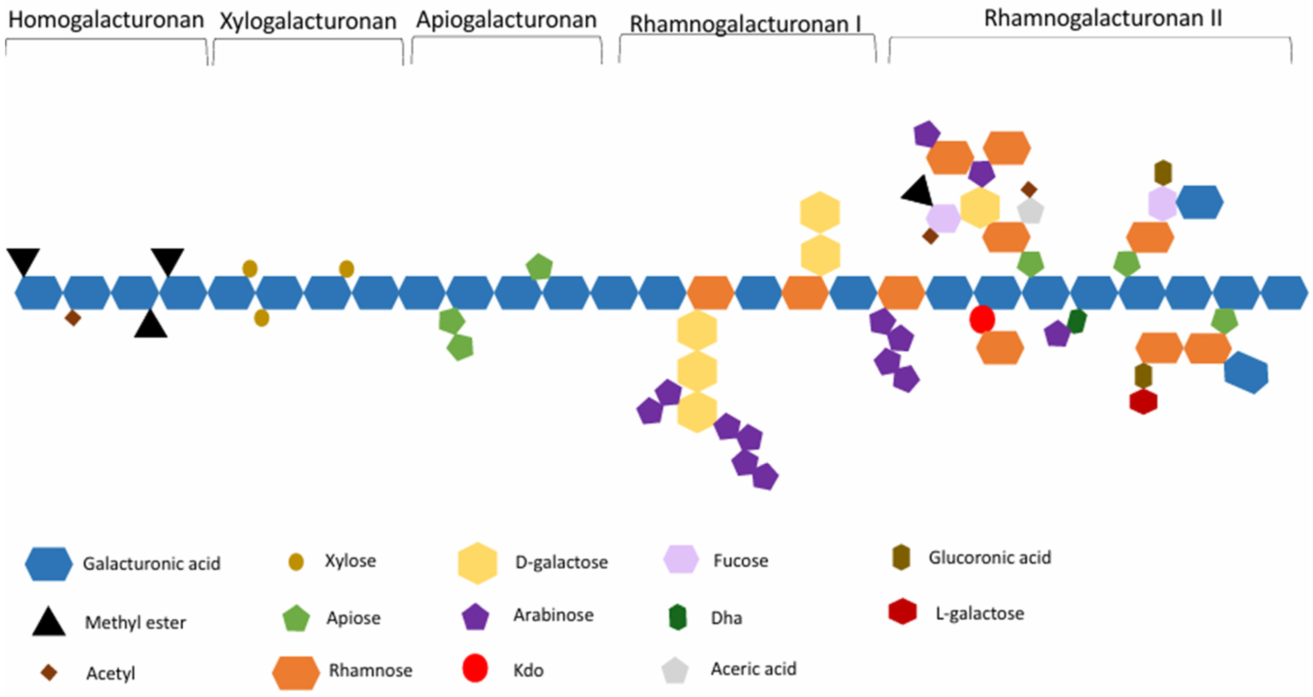 Molecules 30 01144 g001 Molecules 30 01144 g001