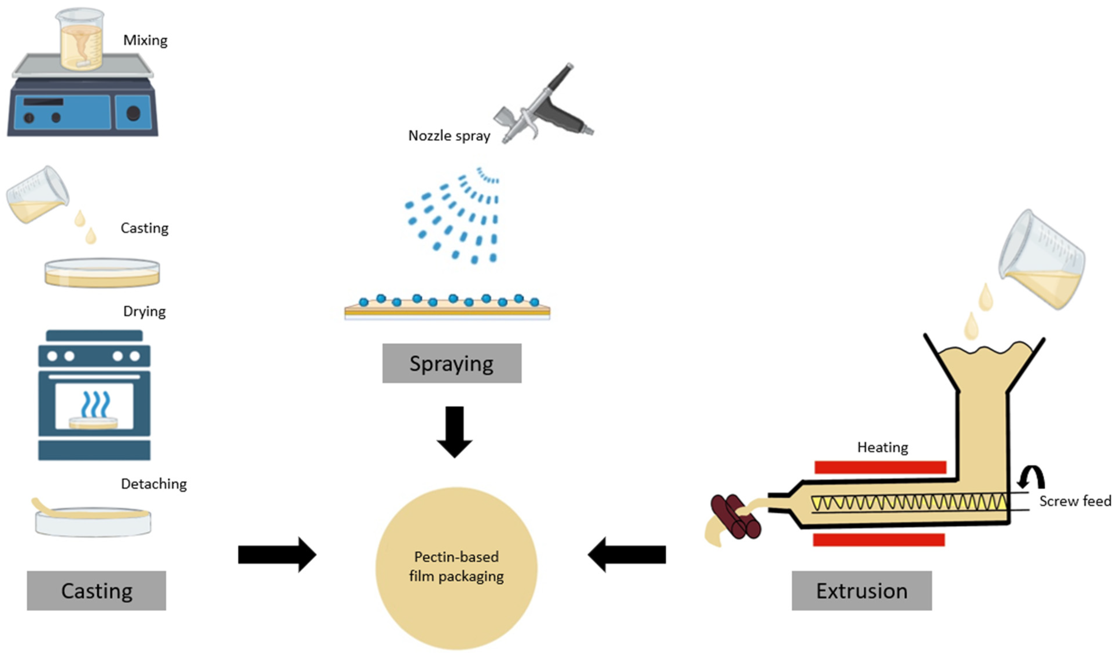 Molecules 30 01144 g002 Molecules 30 01144 g002