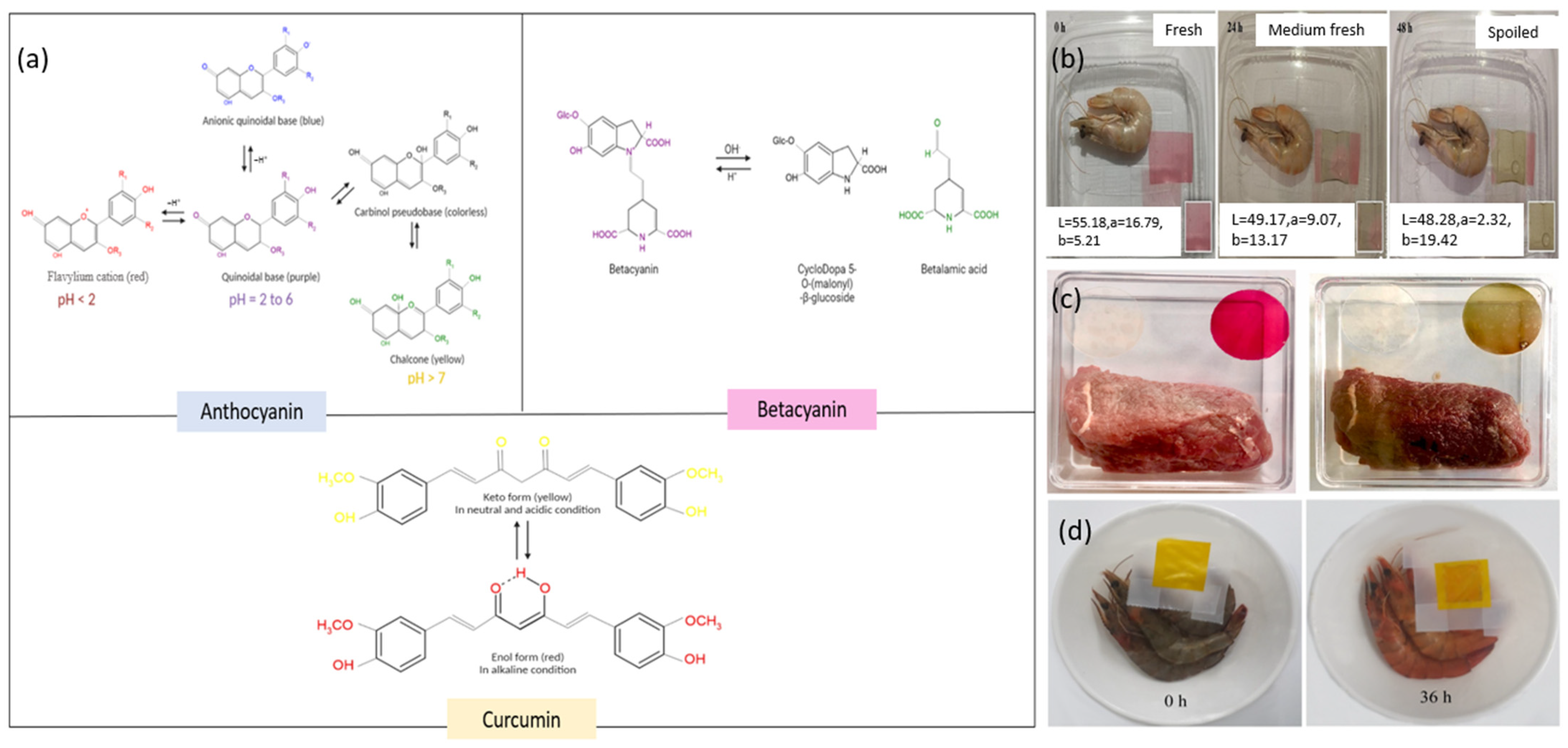 Molecules 30 01144 g003 Molecules 30 01144 g003