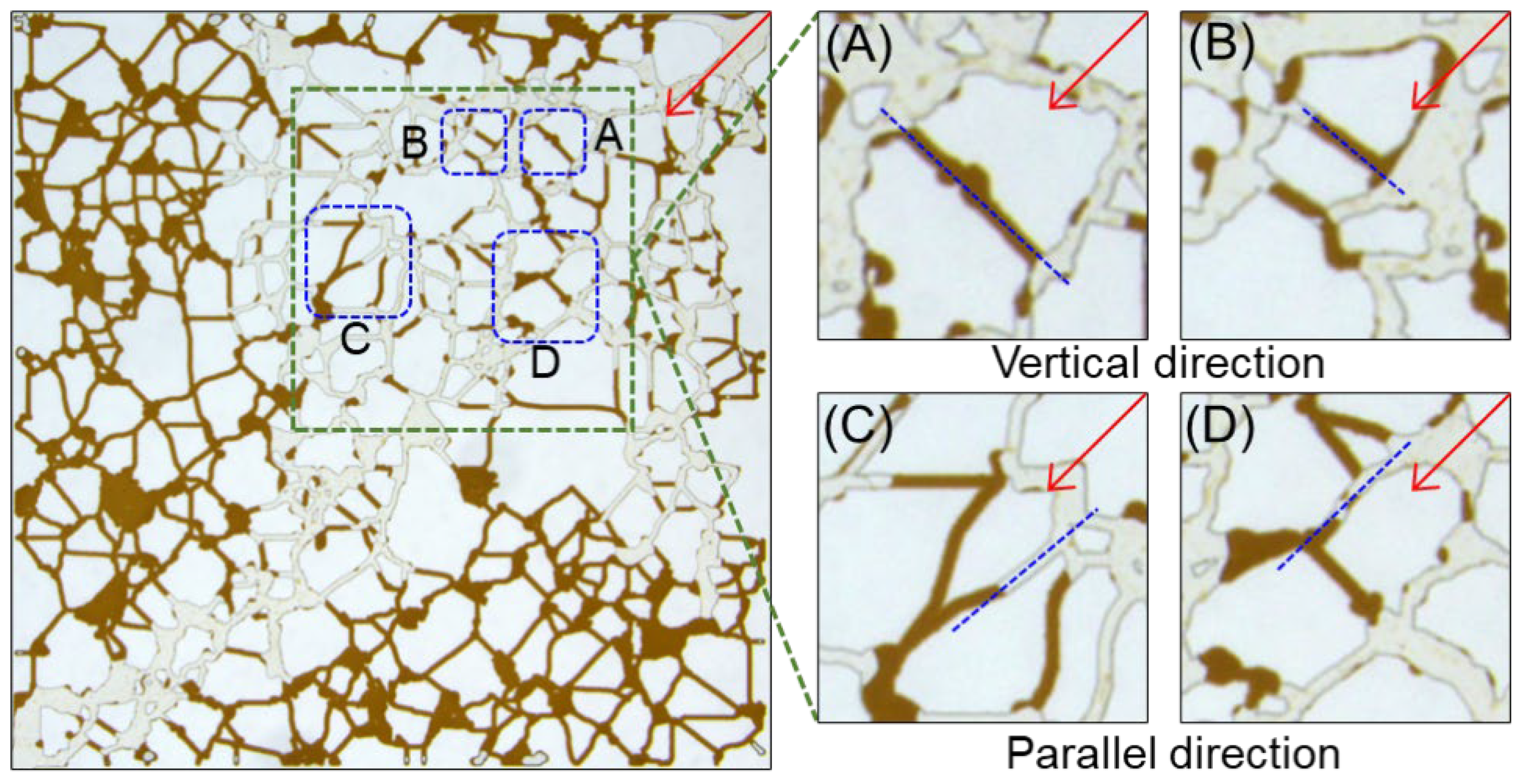 Molecules 30 01145 g007