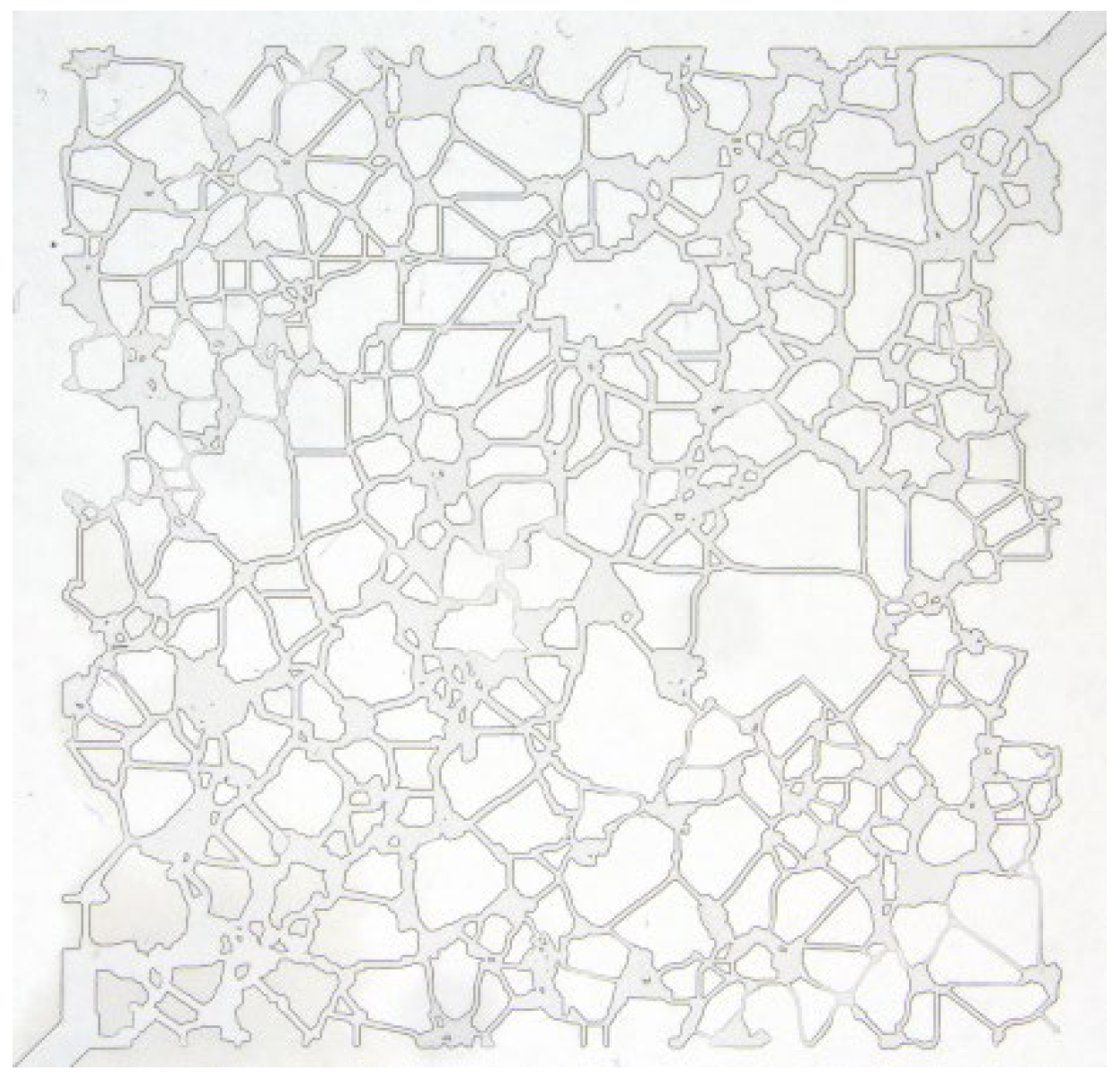 Molecules 30 01145 g010