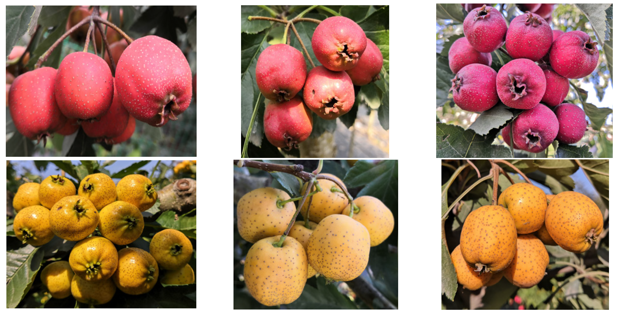 Molecules 30 01149 g004