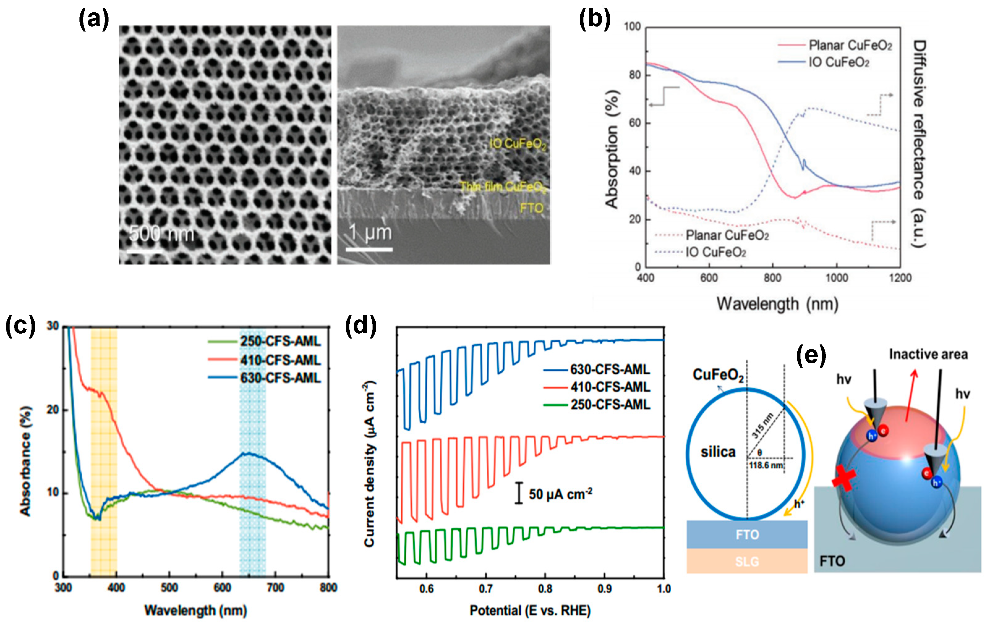 Molecules 30 01152 g007