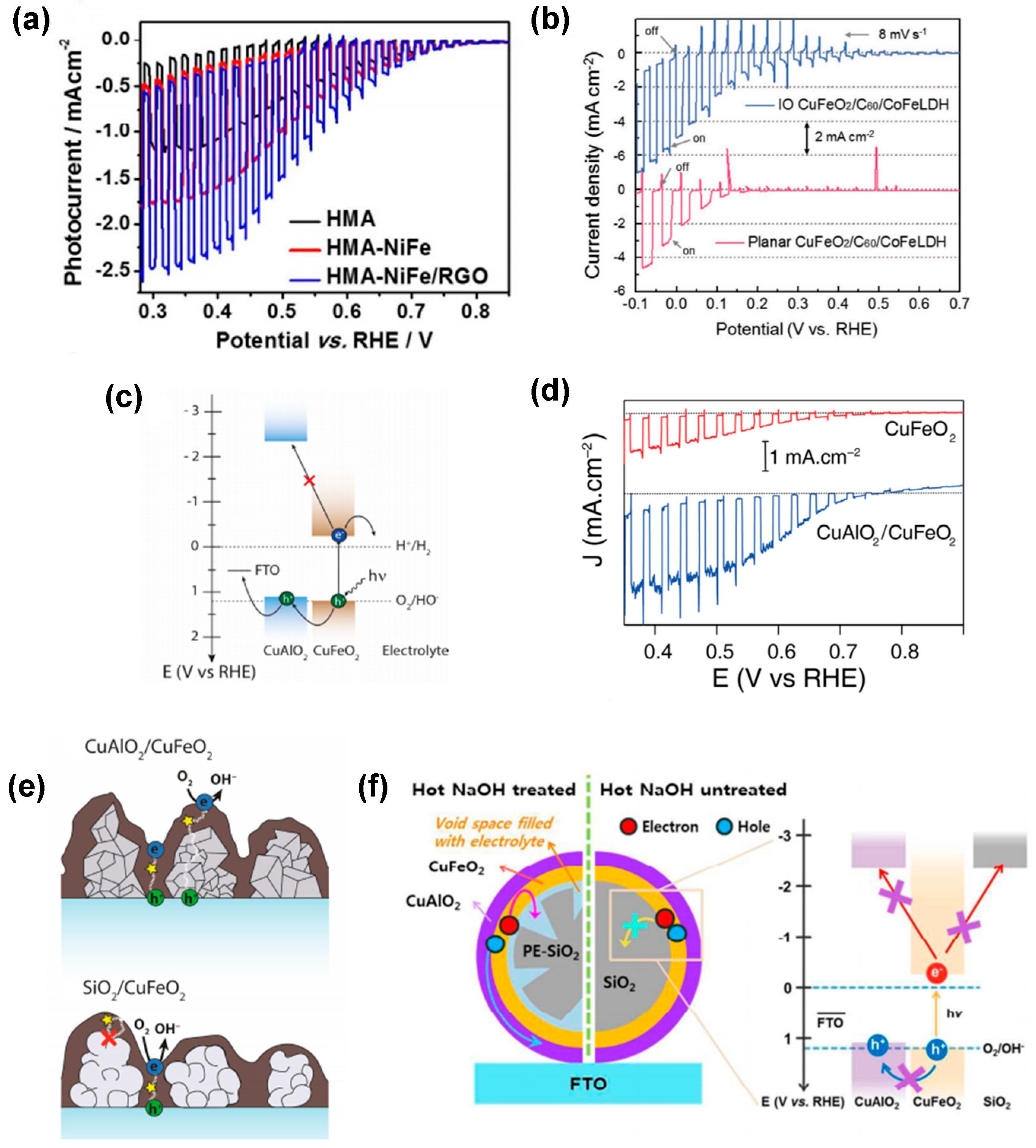 Molecules 30 01152 g008