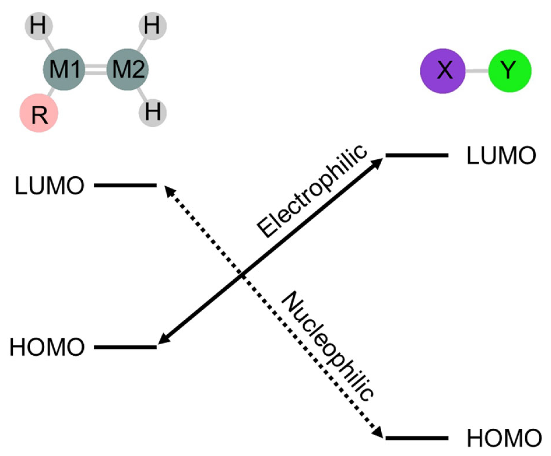 Molecules 30 01158 g002 Molecules 30 01158 g002