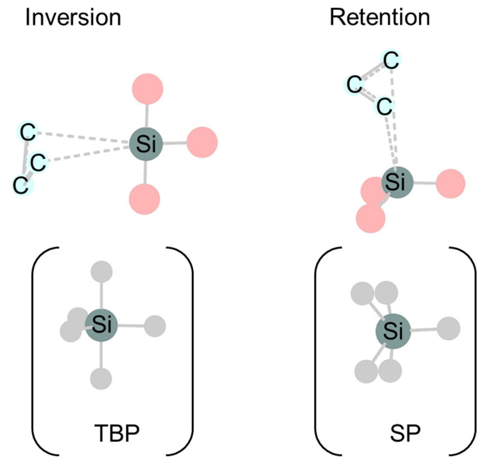 Molecules 30 01158 g006 Molecules 30 01158 g006