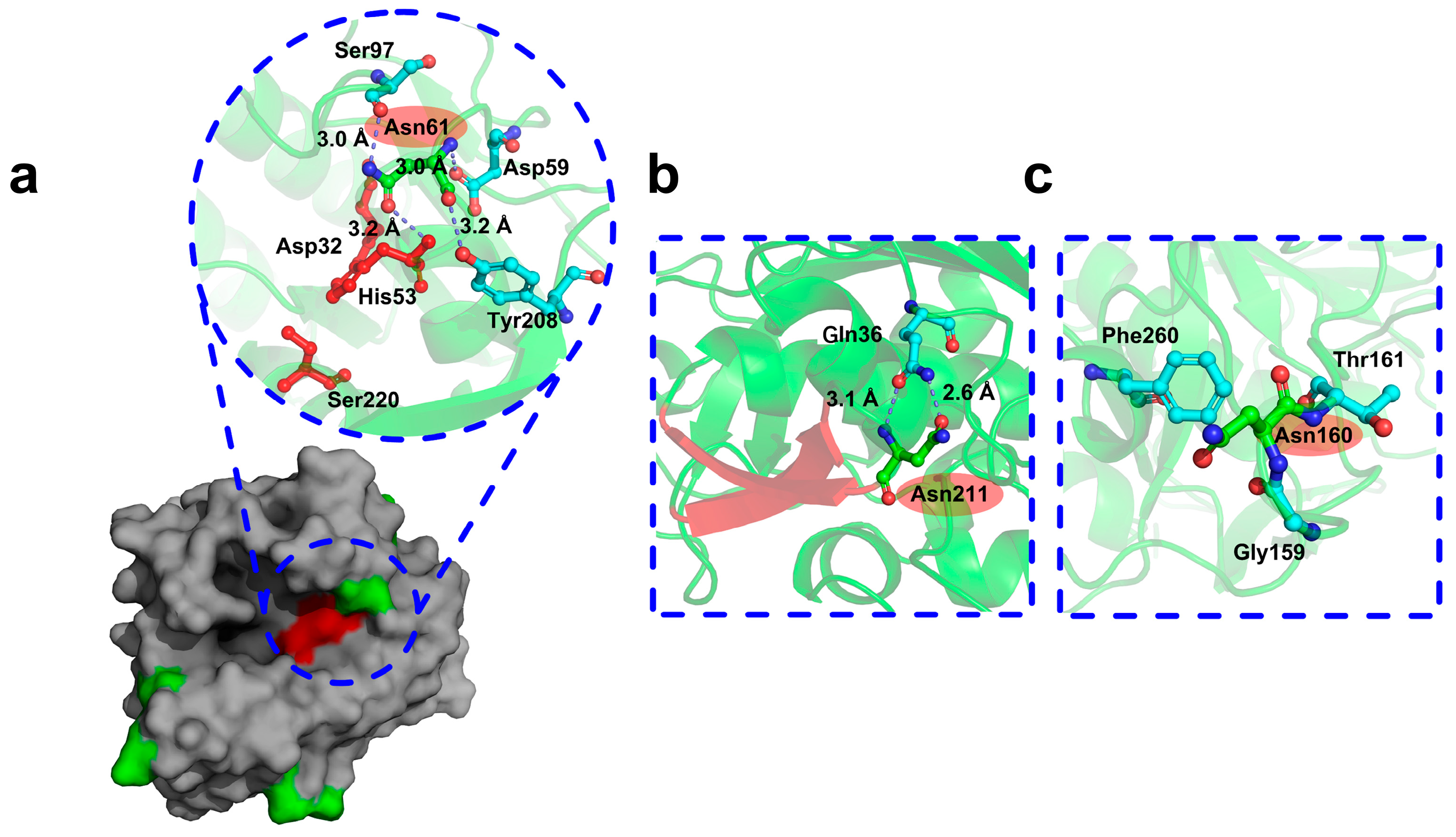 Molecules 30 01160 g002