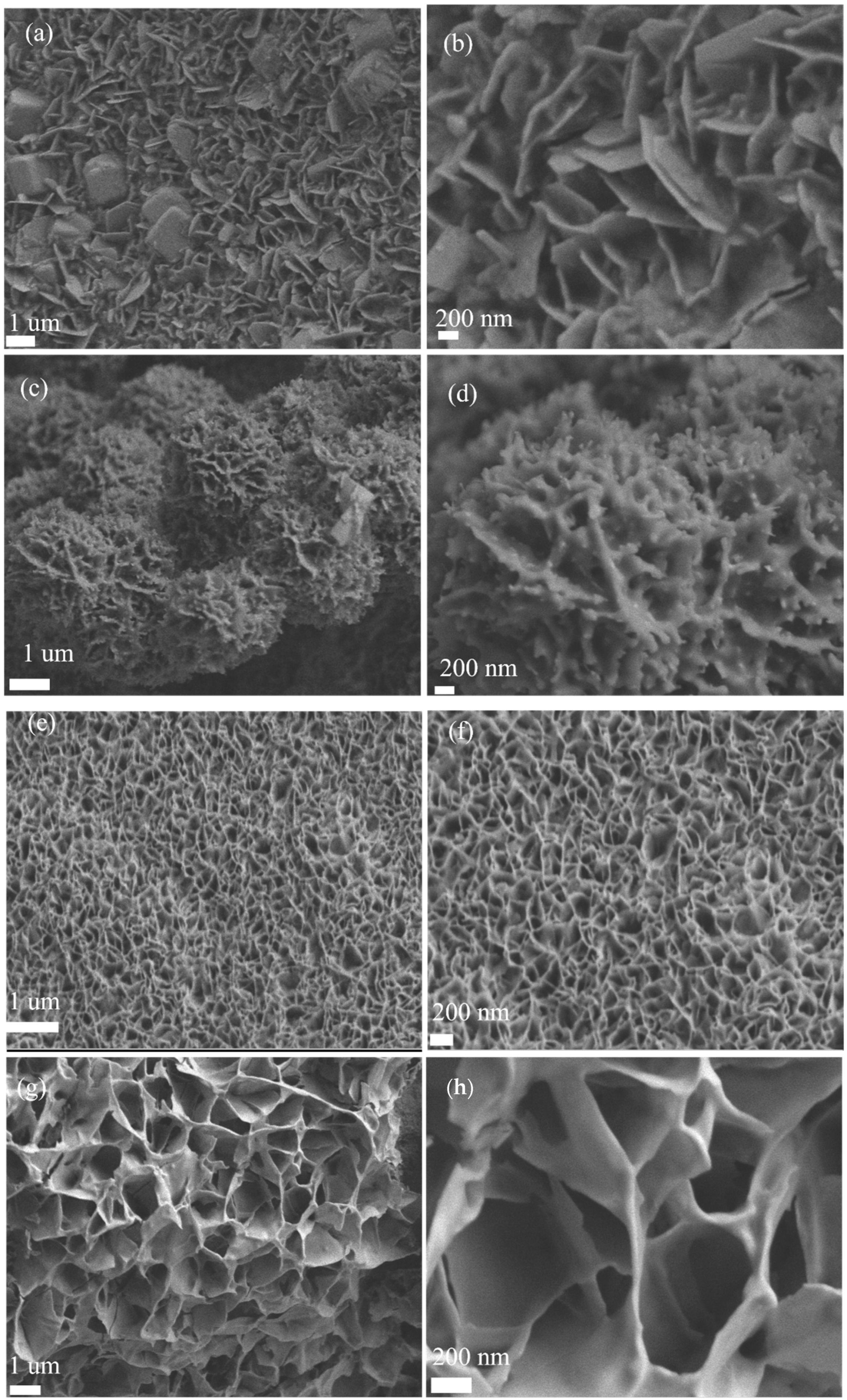 Molecules 30 01162 g002