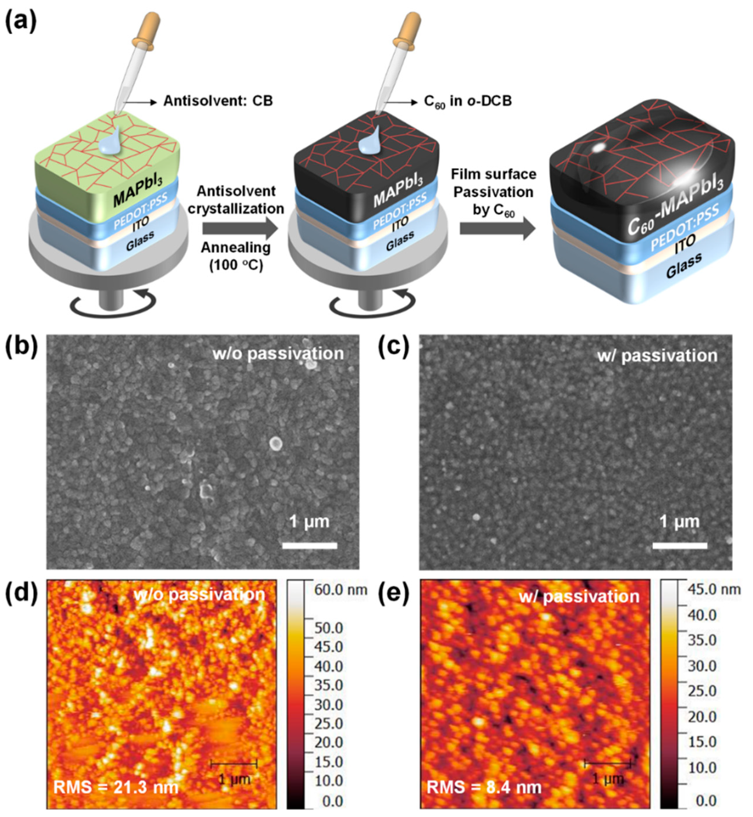 Molecules 30 01166 g001