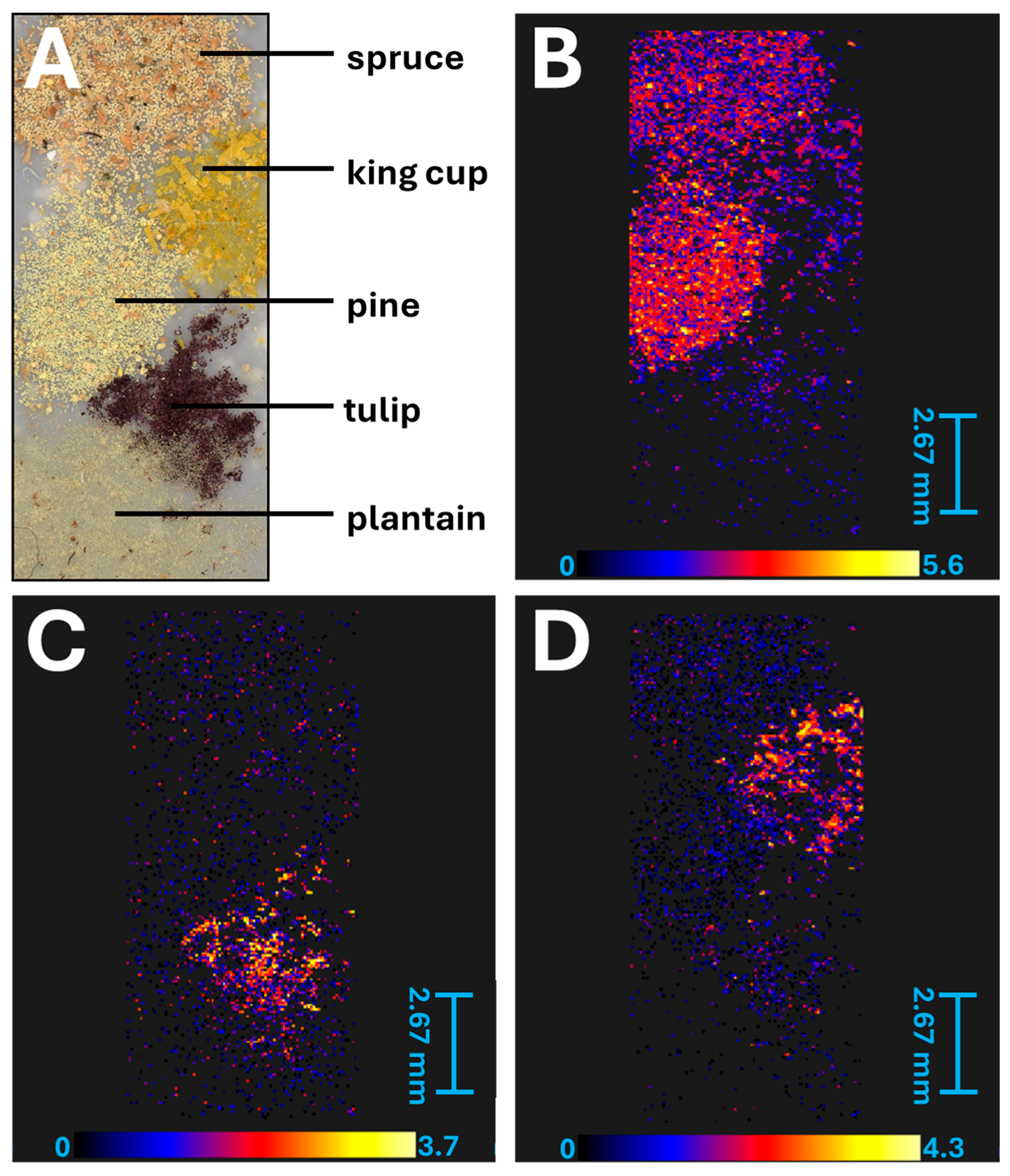 Molecules 30 01172 g006