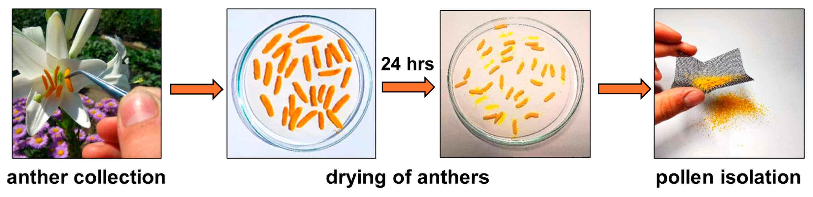 Molecules 30 01172 g010