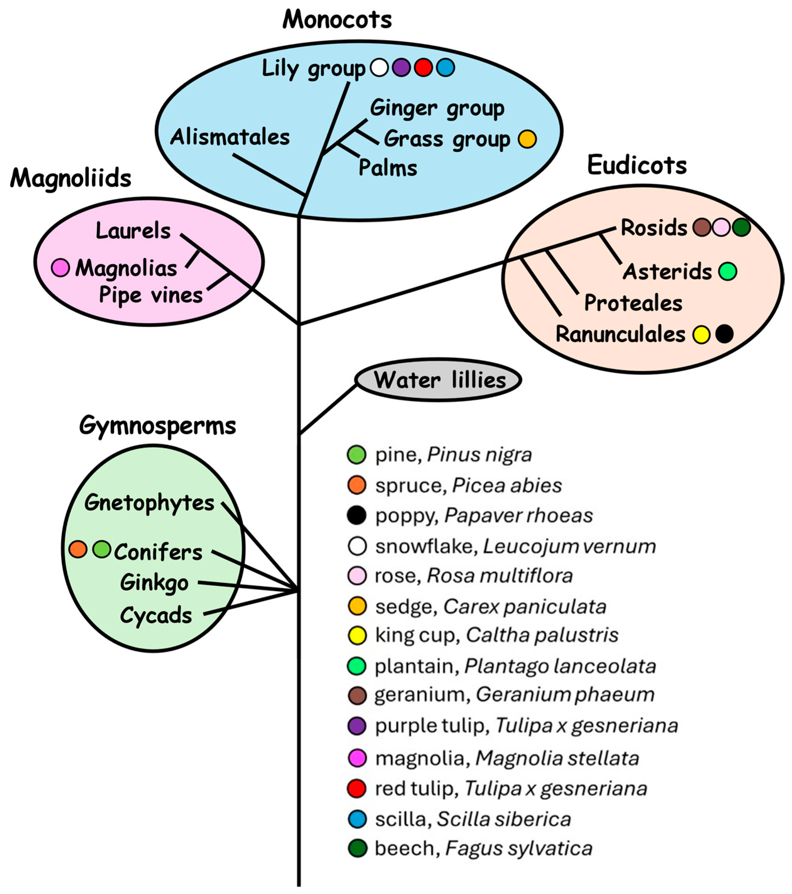 Molecules 30 01172 g0a1