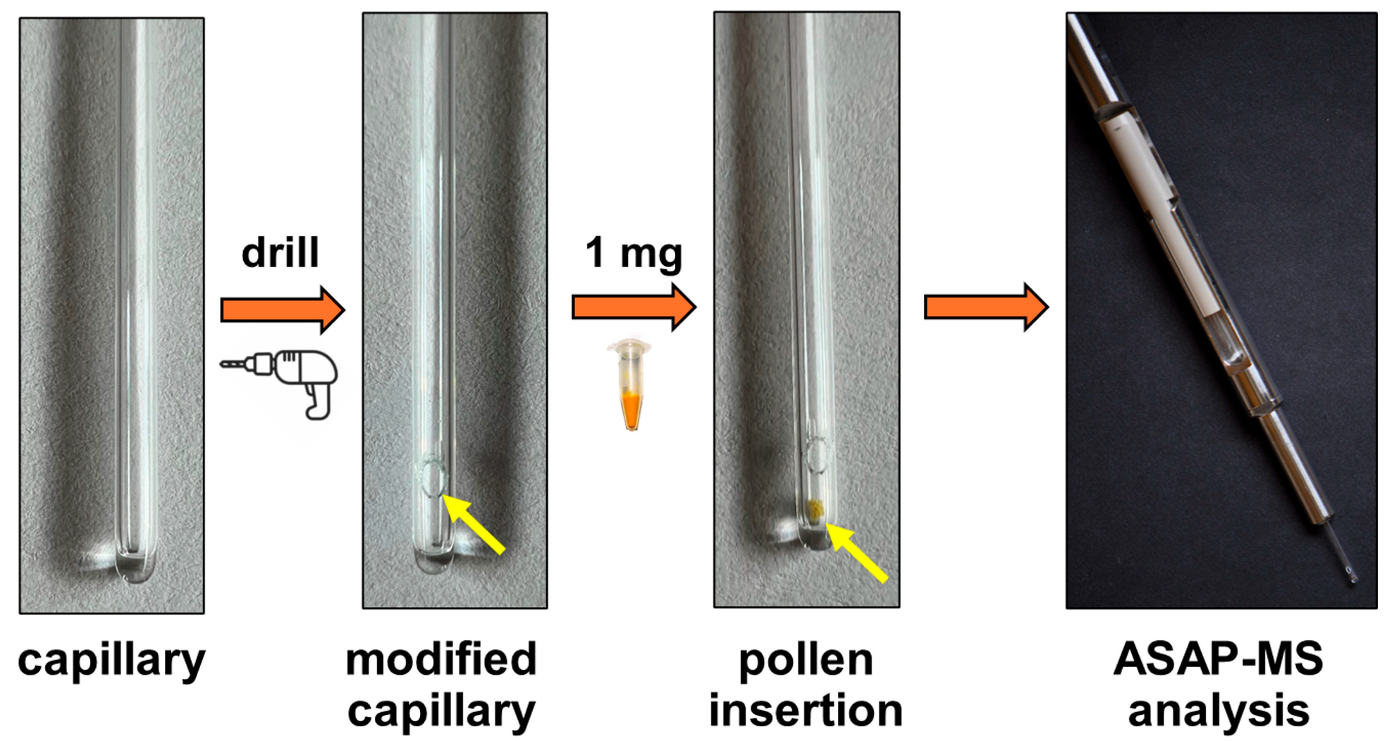 Molecules 30 01172 g0a5
