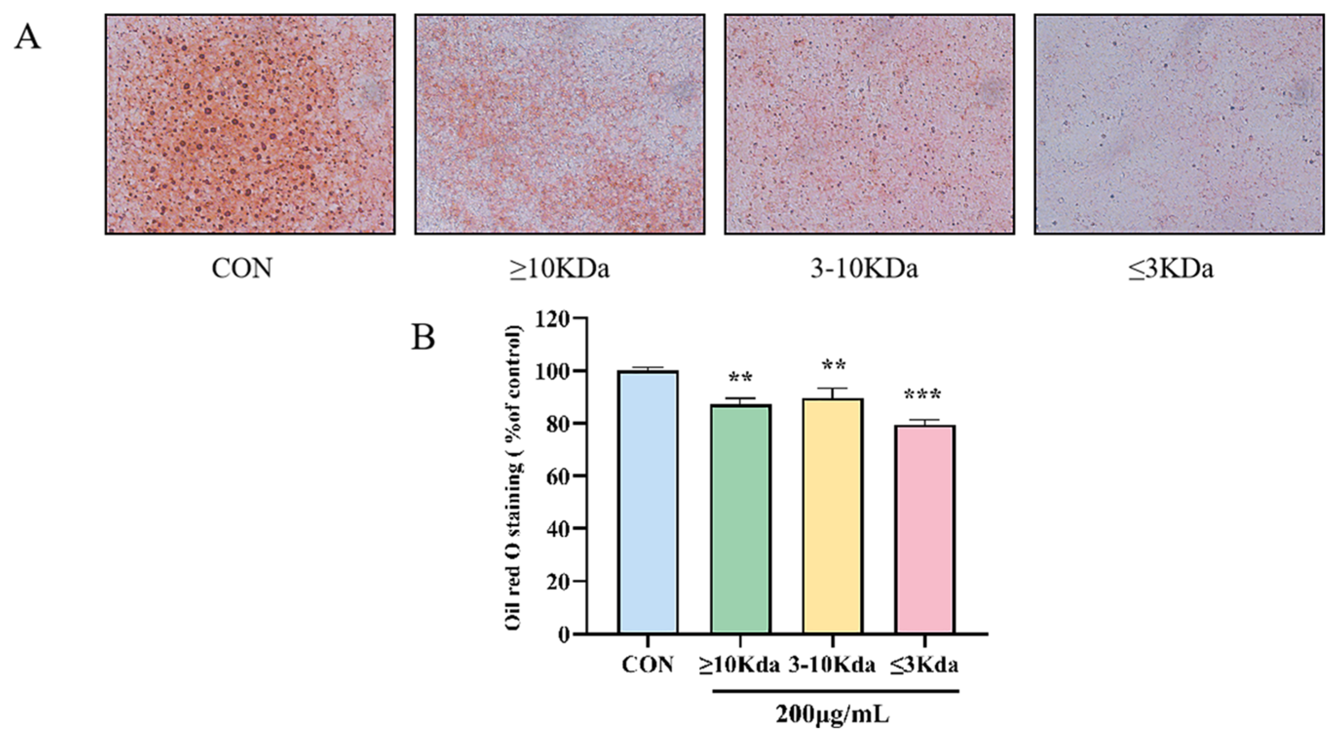 Molecules 30 01173 g003