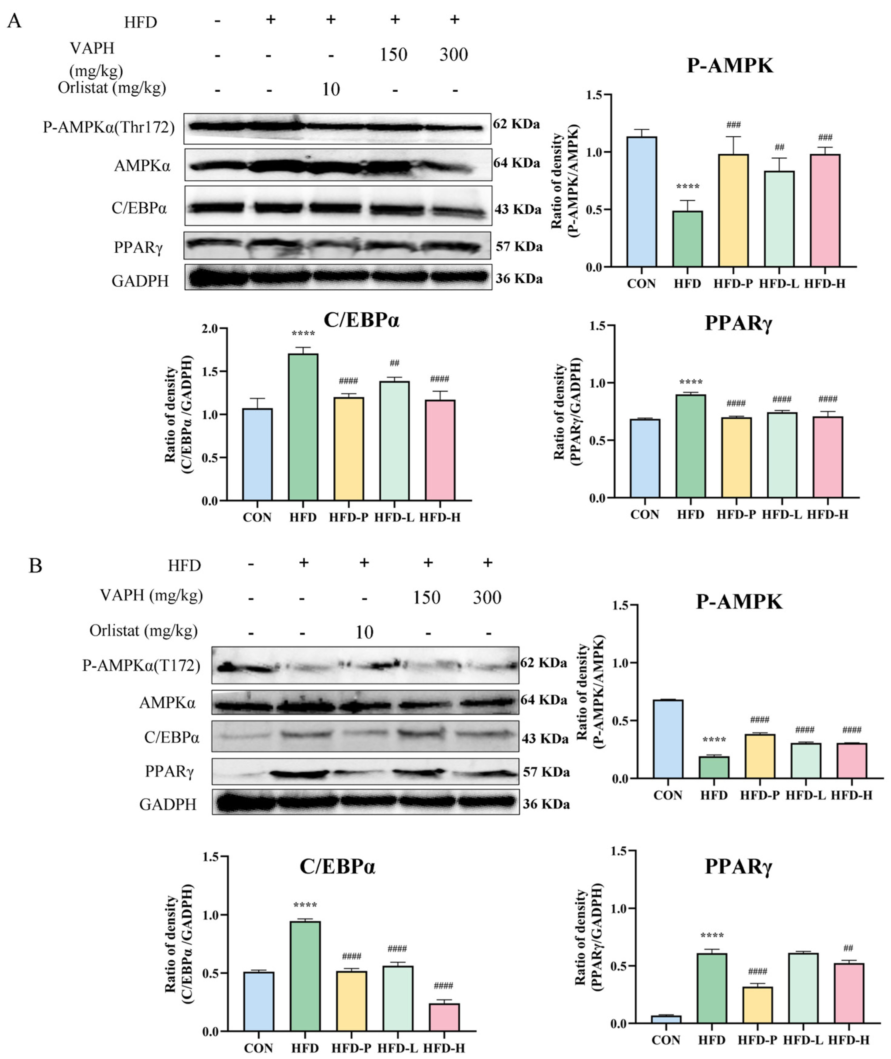 Molecules 30 01173 g007