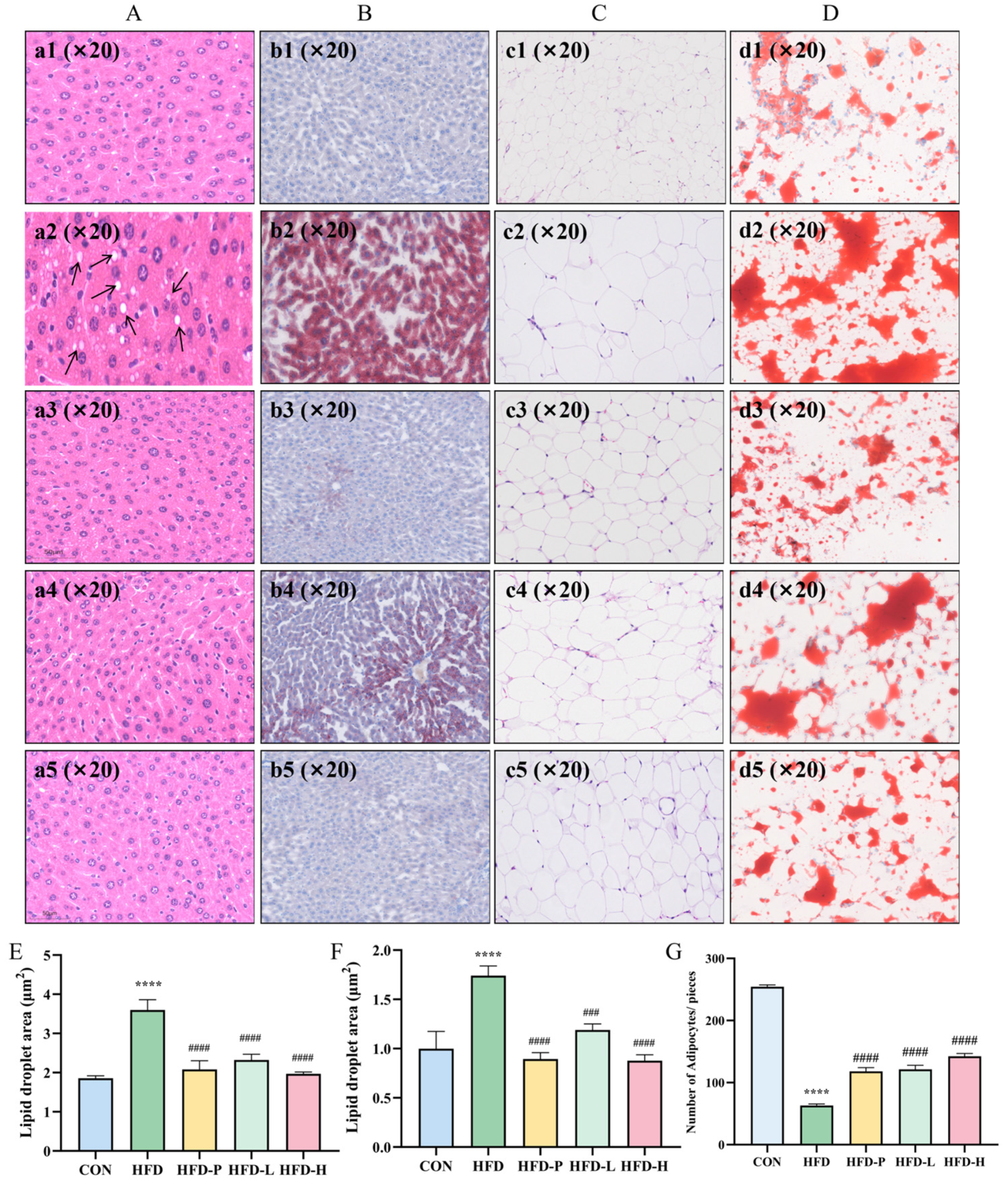 Molecules 30 01173 g008